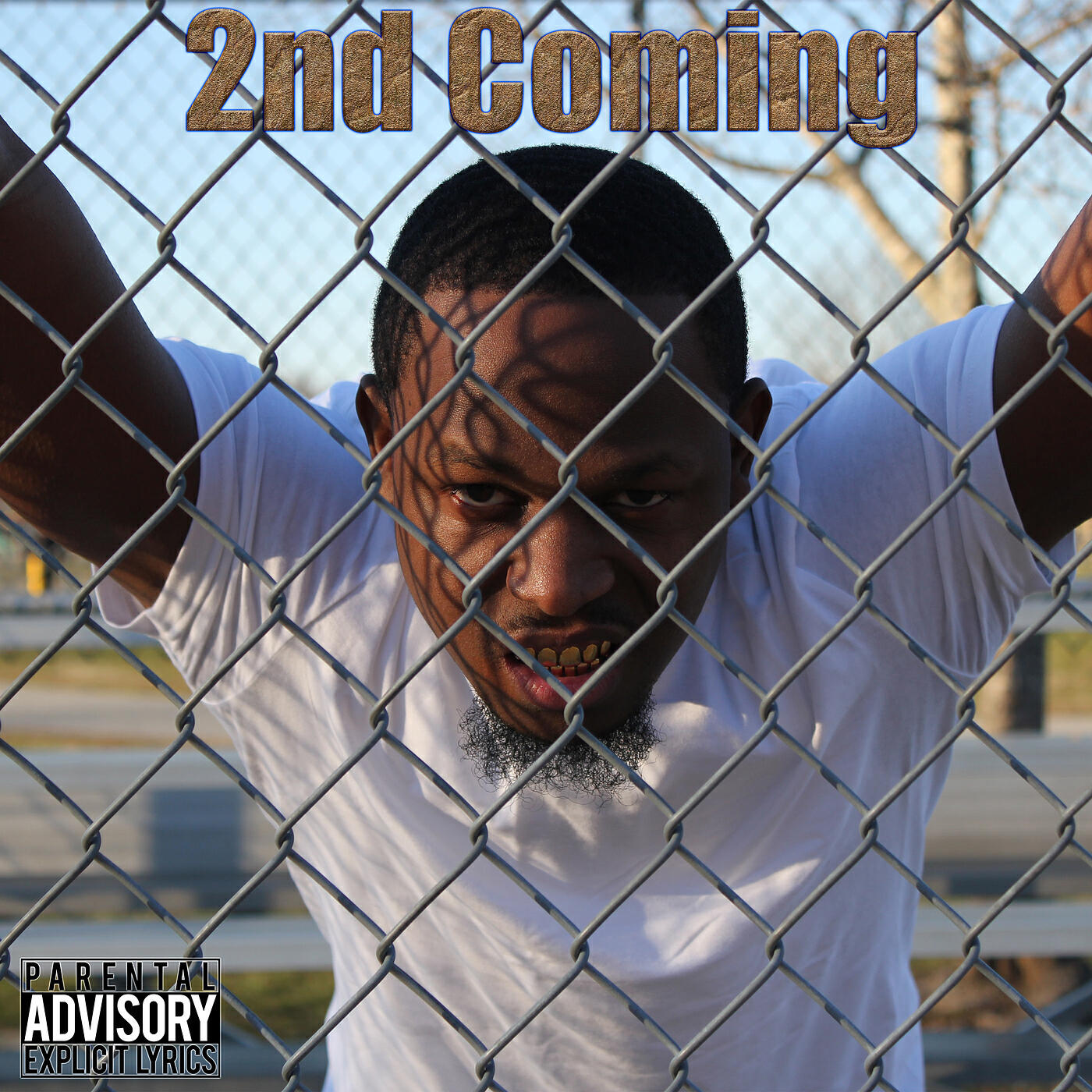 Релиз 2nd Coming