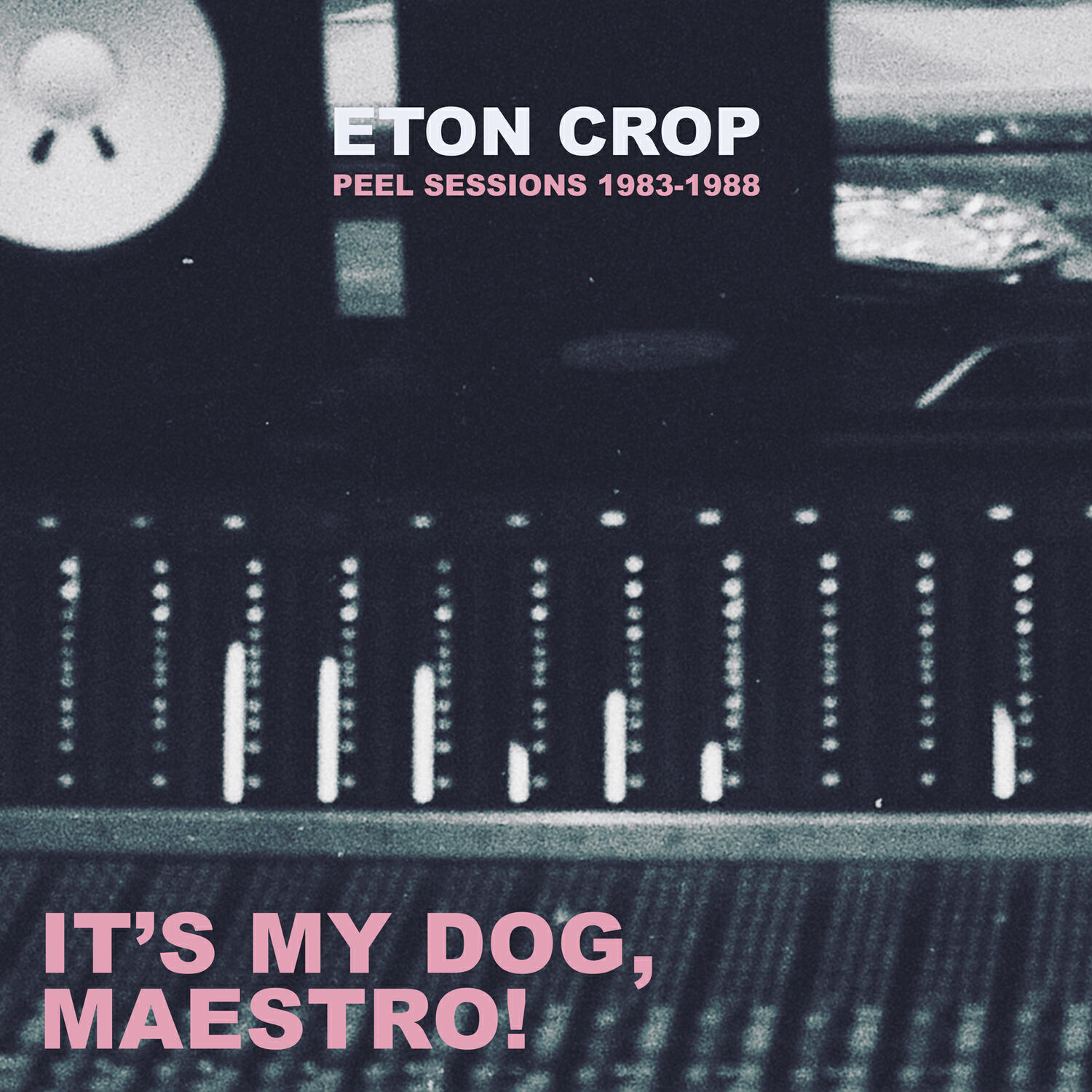 Релиз It's My Dog, Maestro!