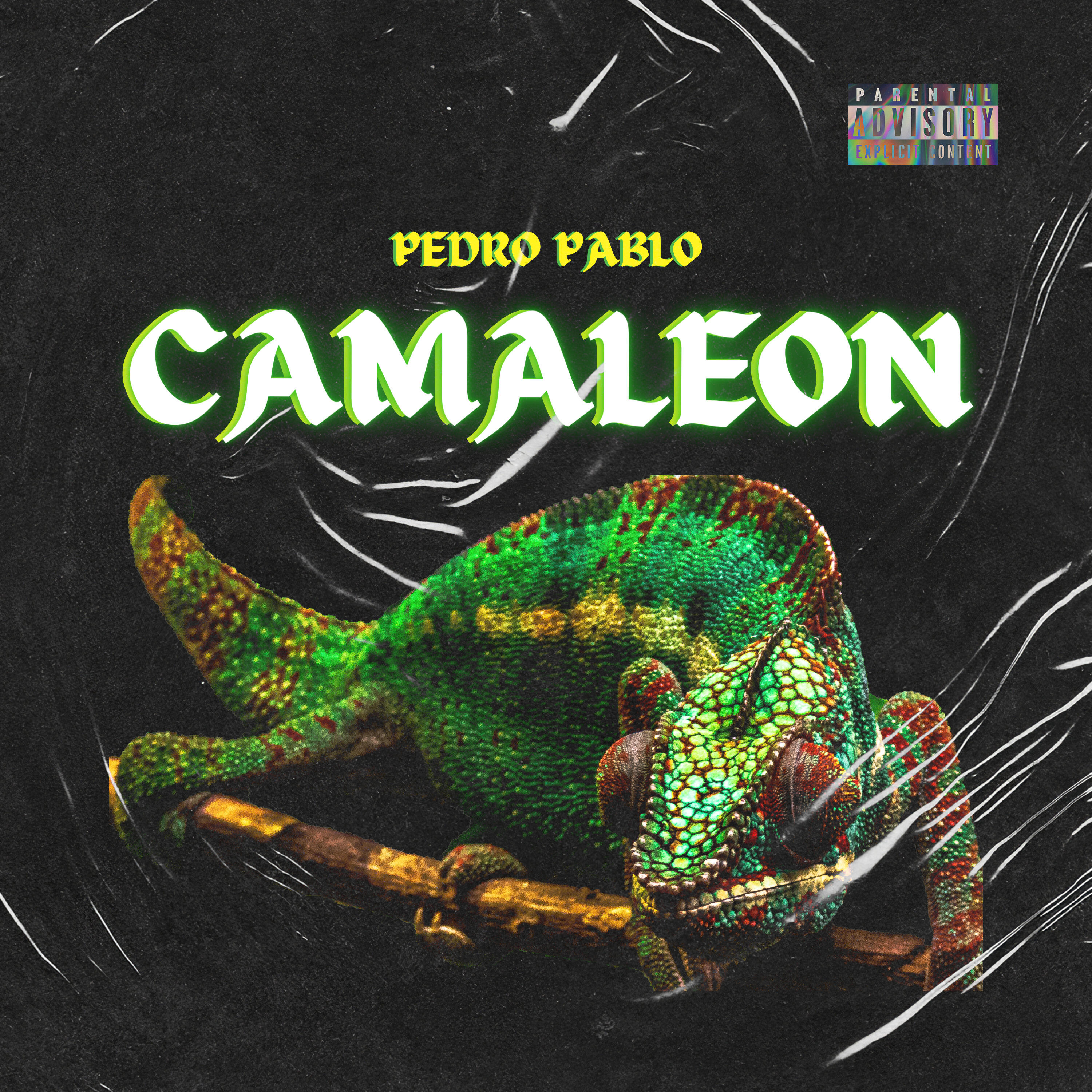 Релиз Camaleon