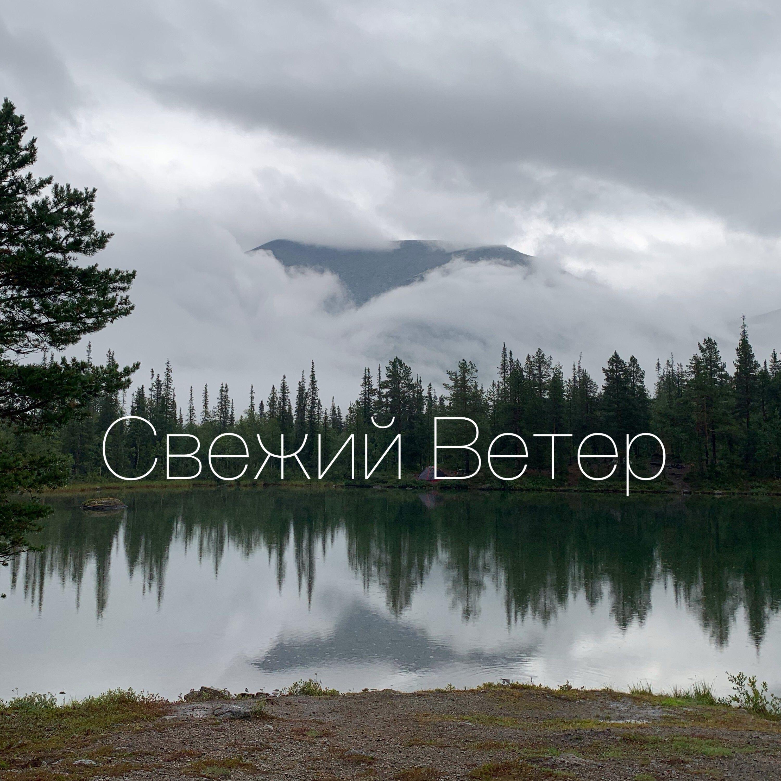 Релиз Кто играет струнами дождей?