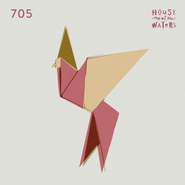 Релиз 705