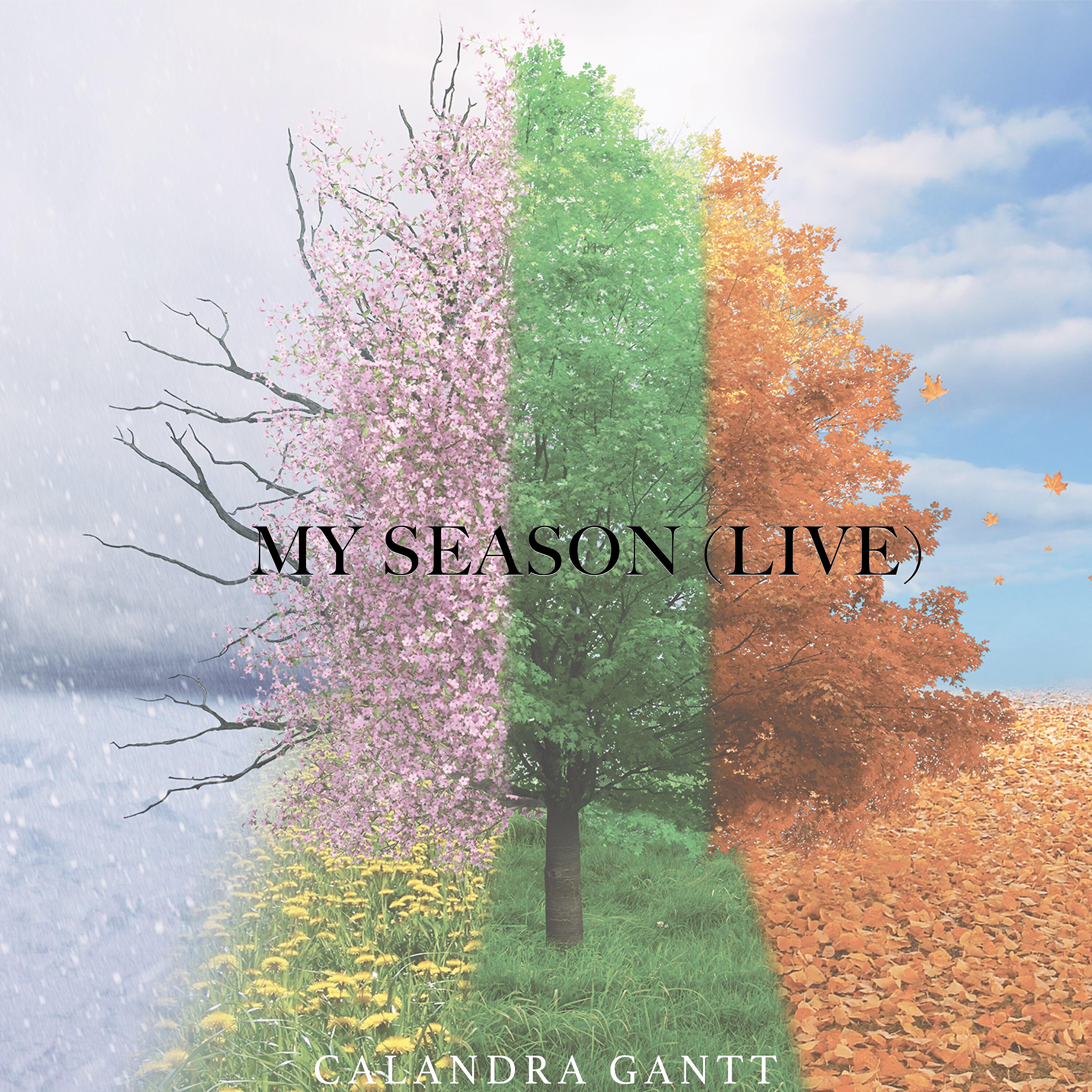 Релиз My Season (Live) [Instrumental]