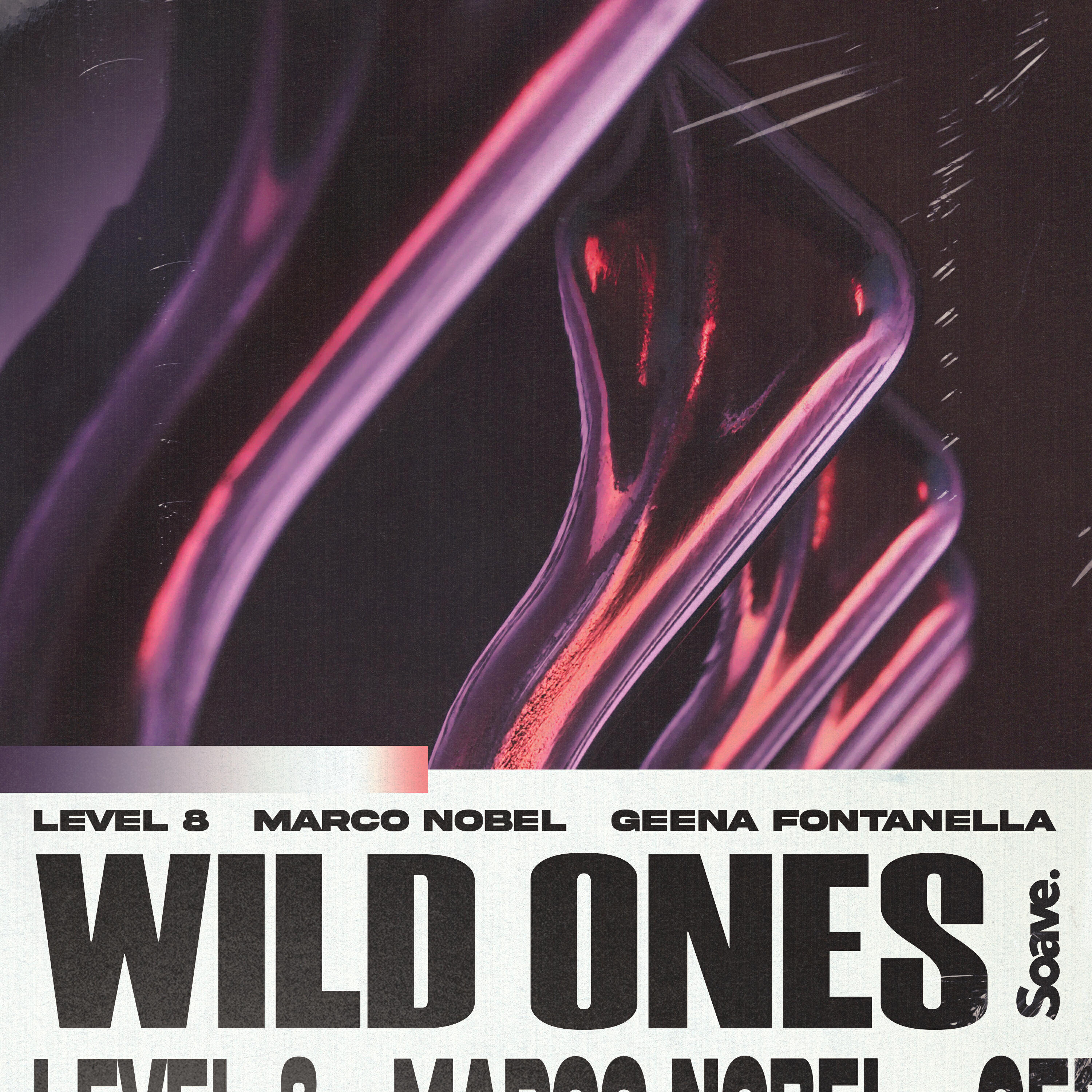 Релиз Wild Ones