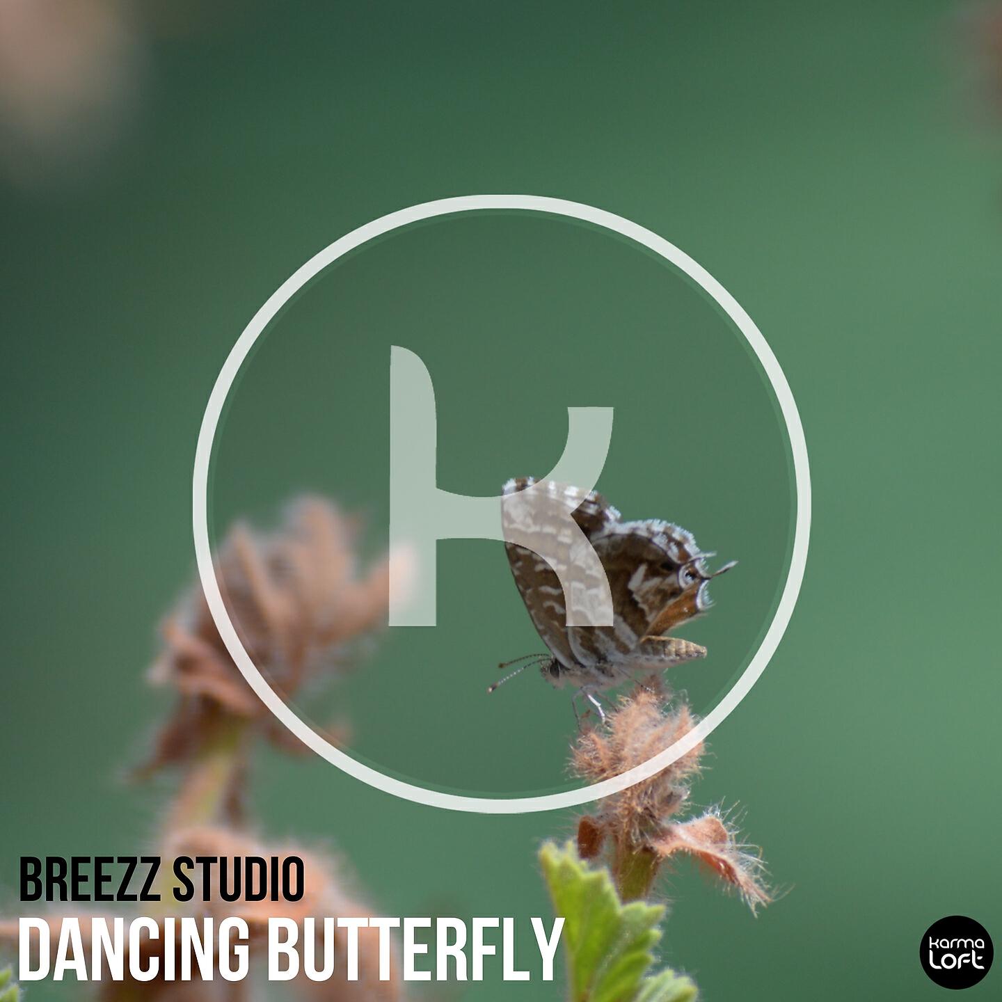 Релиз Dancing Butterfly