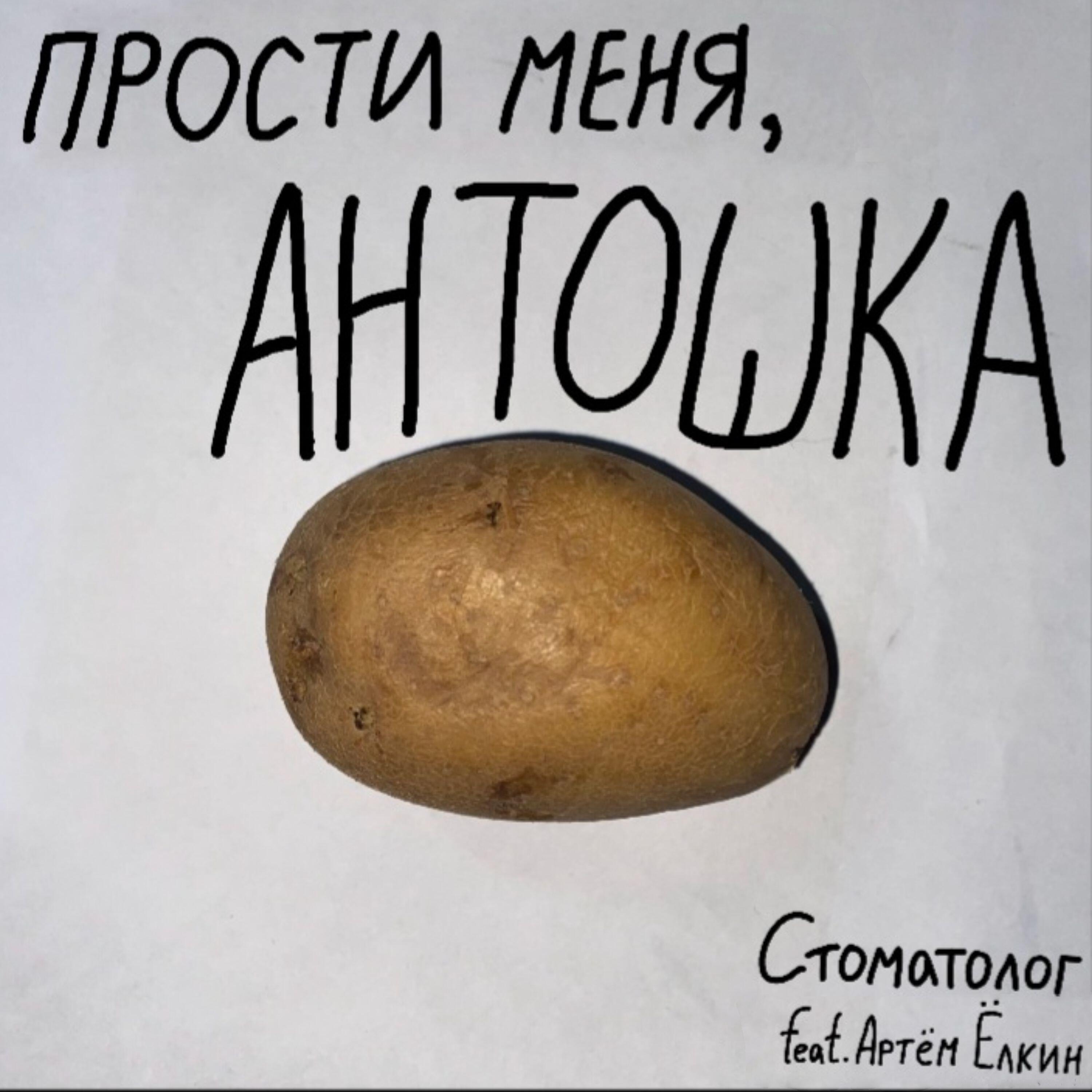 Релиз Прости меня, Антошка