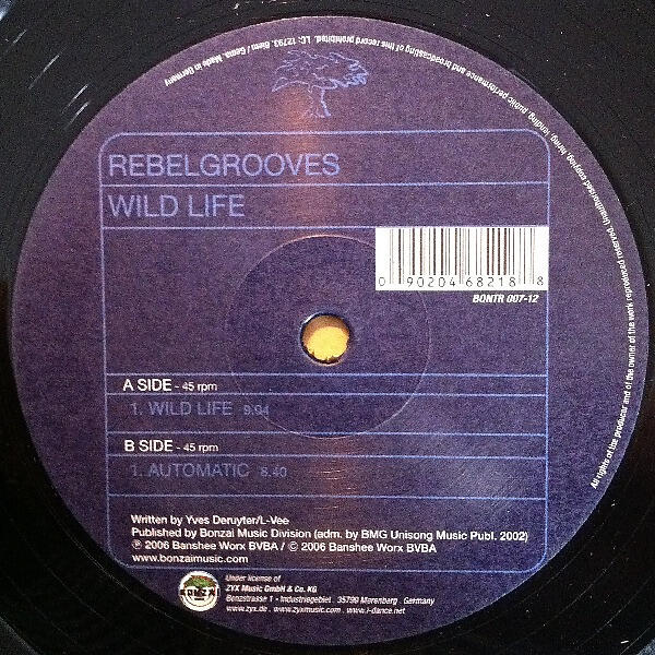 Rebel Grooves