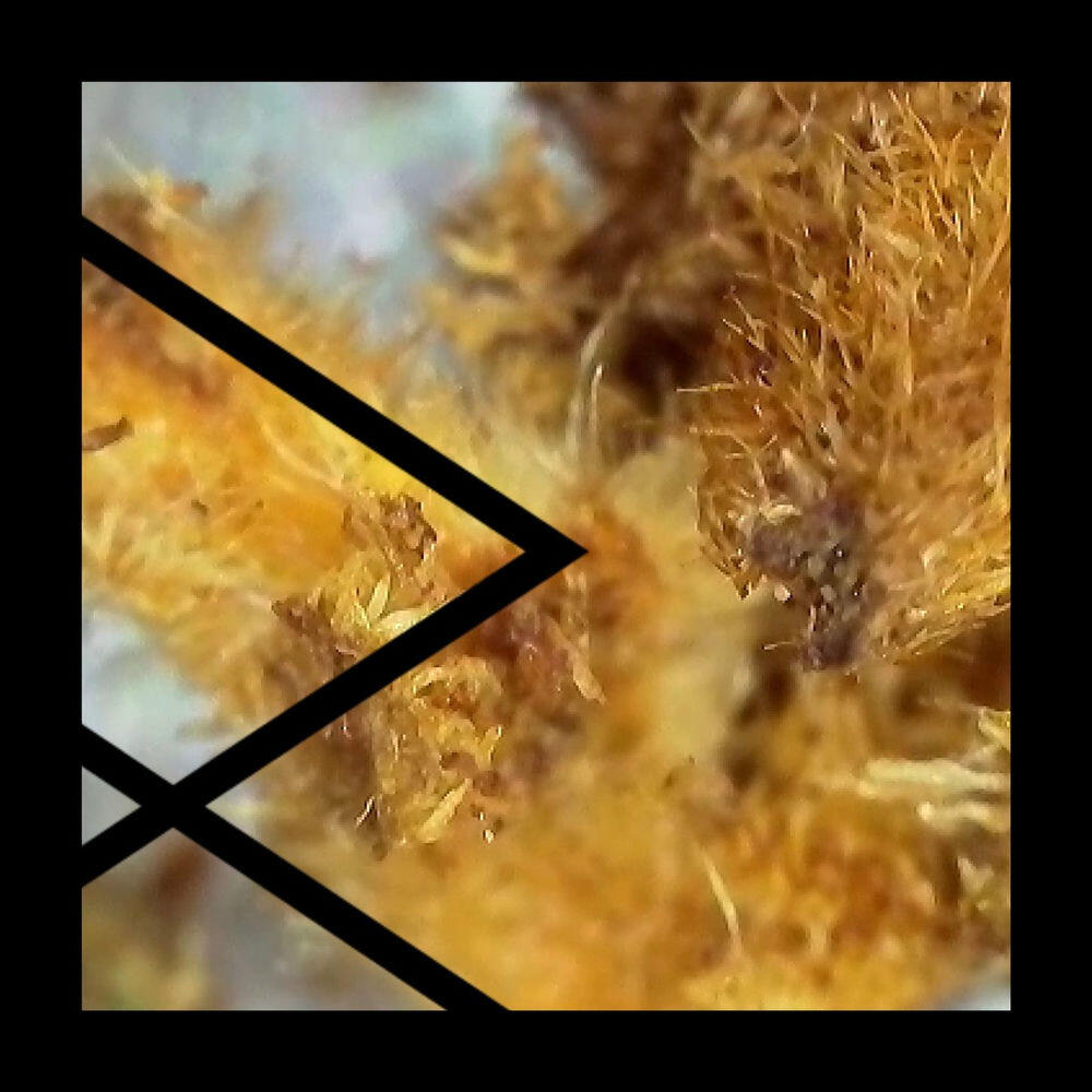 Релиз AFTR Midnight EP