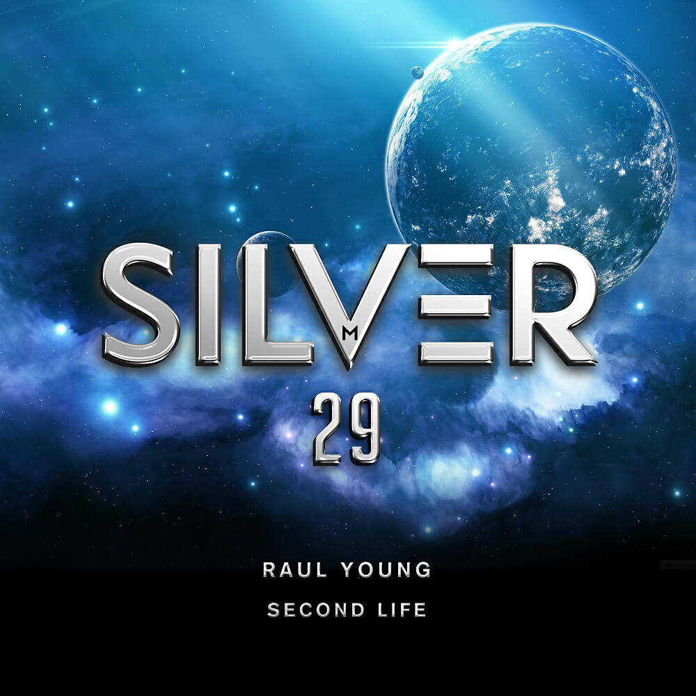 Постер альбома Second Life