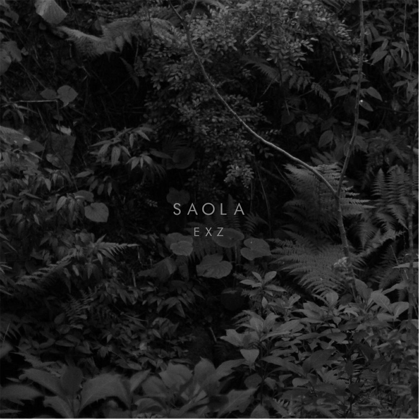 Релиз Saola