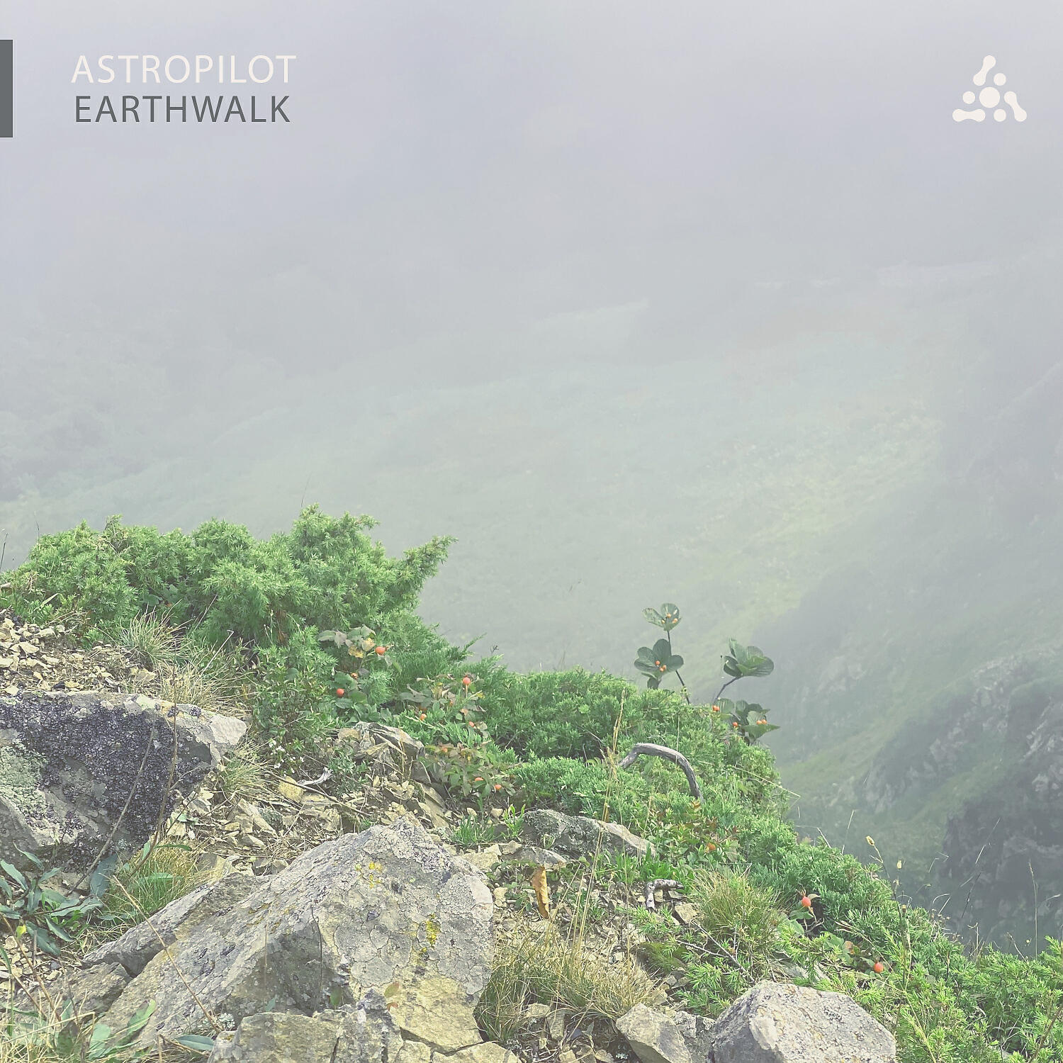 Релиз Earthwalk
