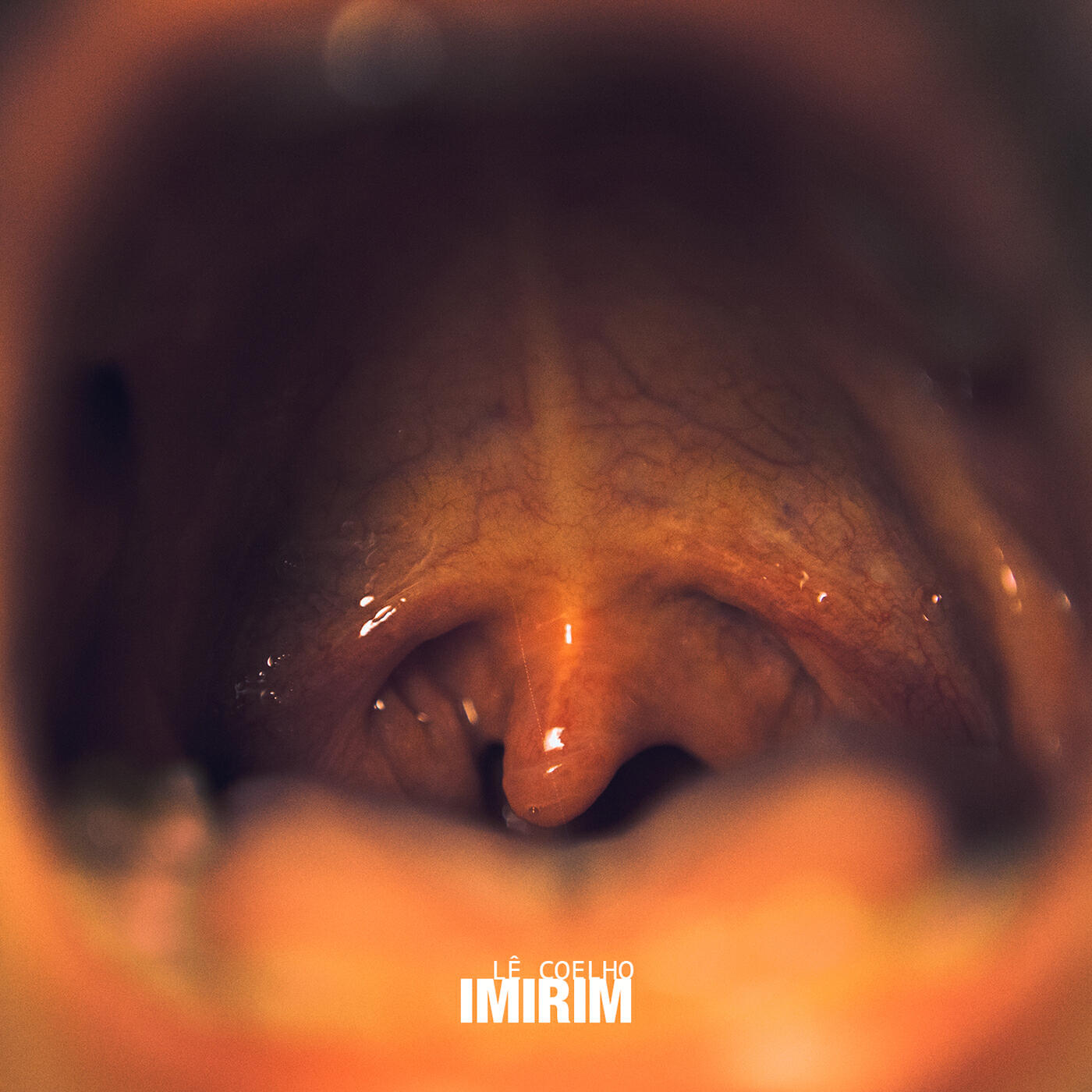 Релиз Imirim