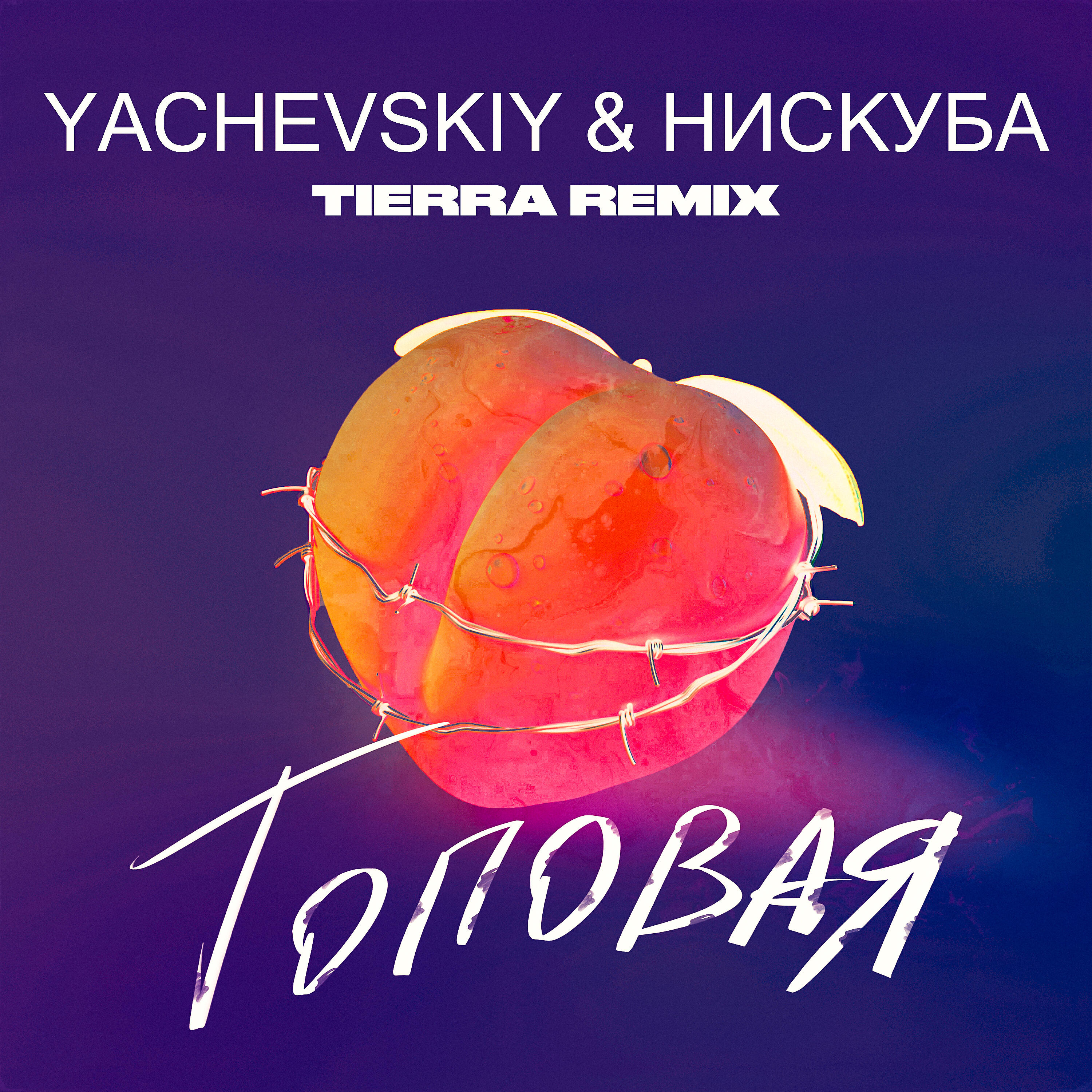 Релиз Топовая (TIERRA Remix)