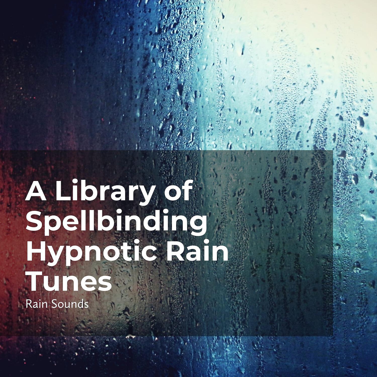 Релиз Spellbinding Hypnotic Rain Tunes