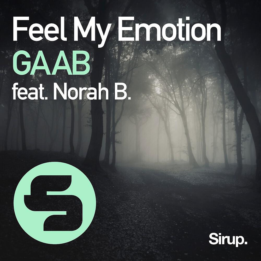 Релиз Feel My Emotion