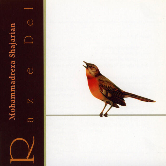 Релиз Raz E Del