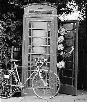 The Bicycle Thieves