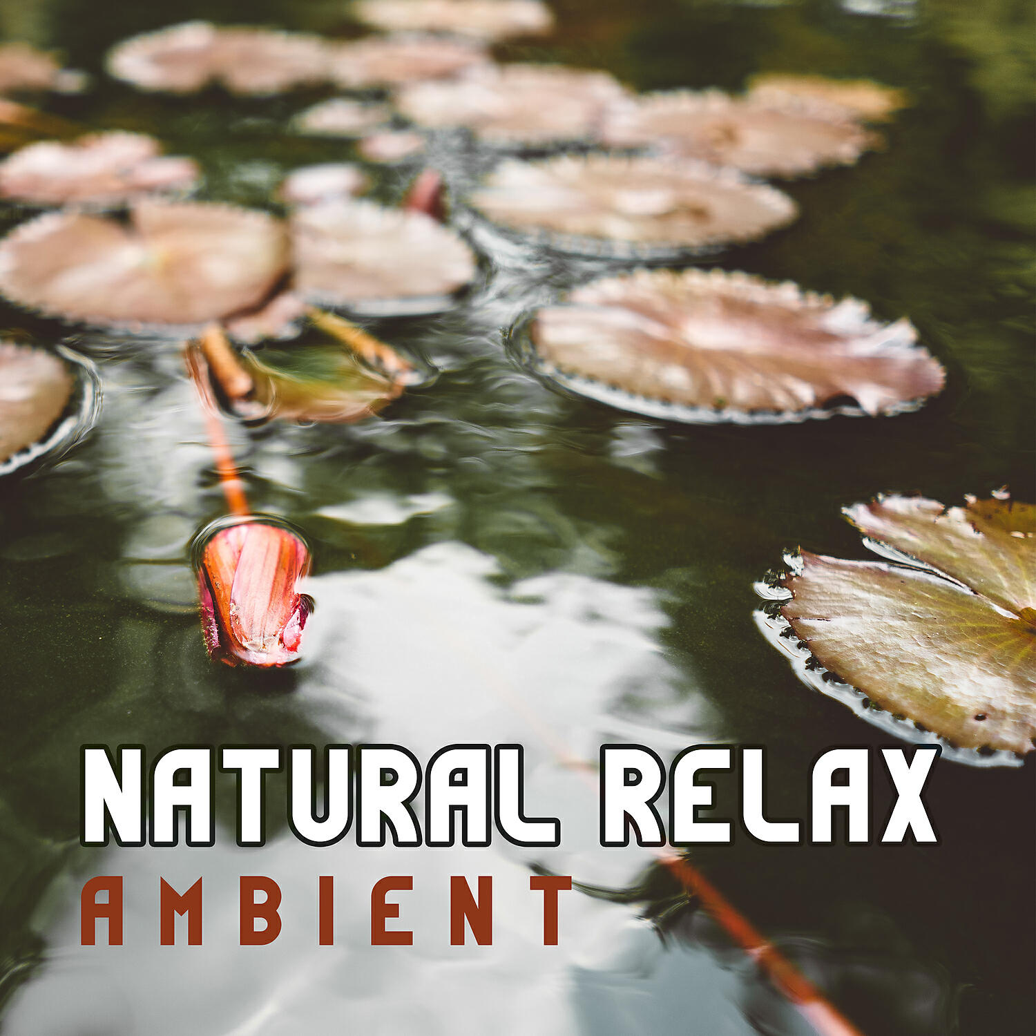 Релиз Natural Relax Ambient – Relaxing Music and Sounds of Nature, Healing Meditation, Inner Peace, Tranquility