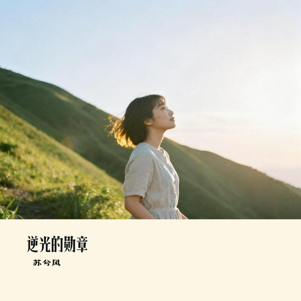 Релиз 逆光的勋章