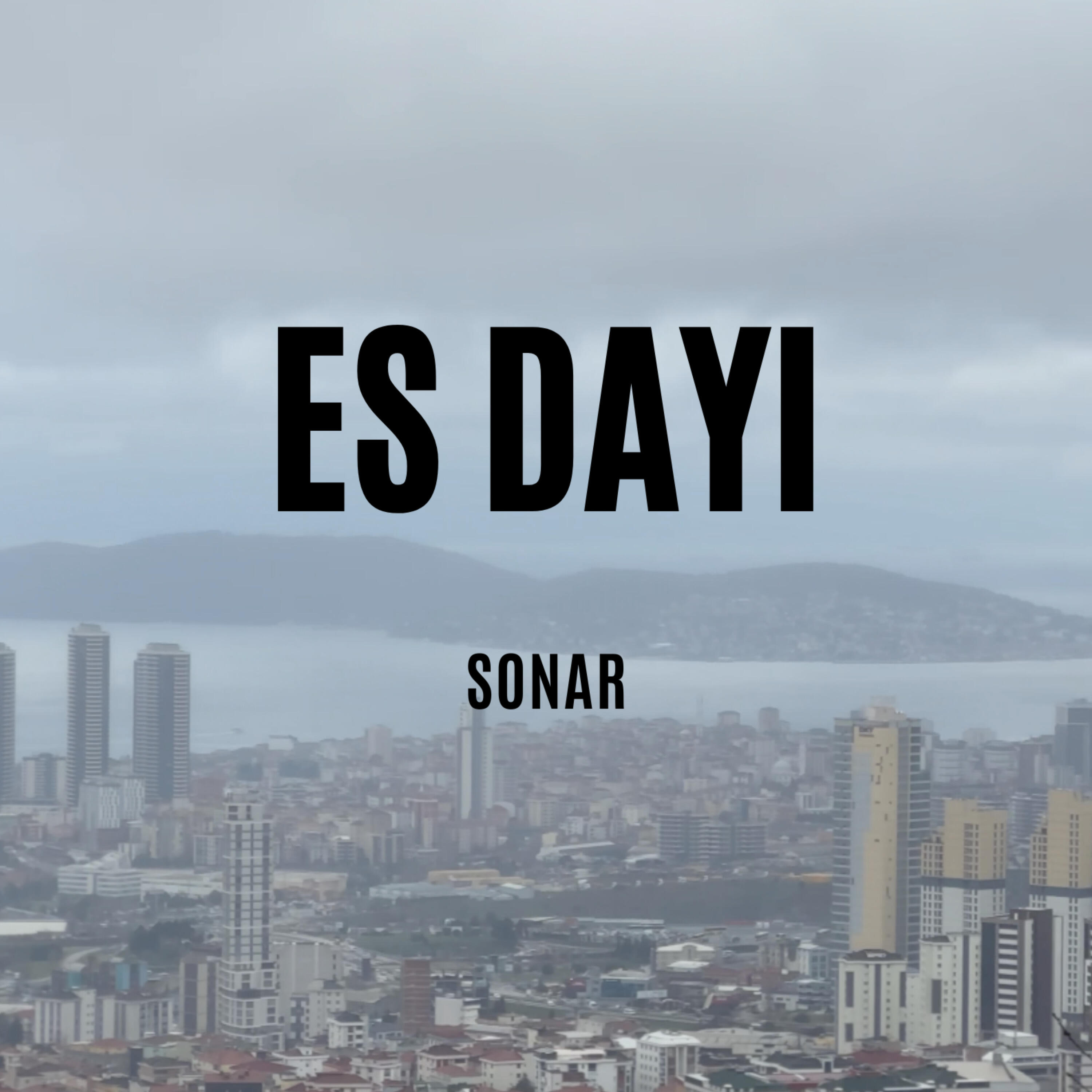 Постер альбома Es Dayı