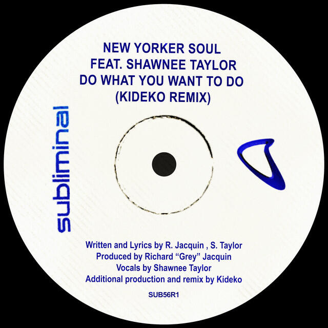 Релиз Do What You Want To Do (Kideko Remix)