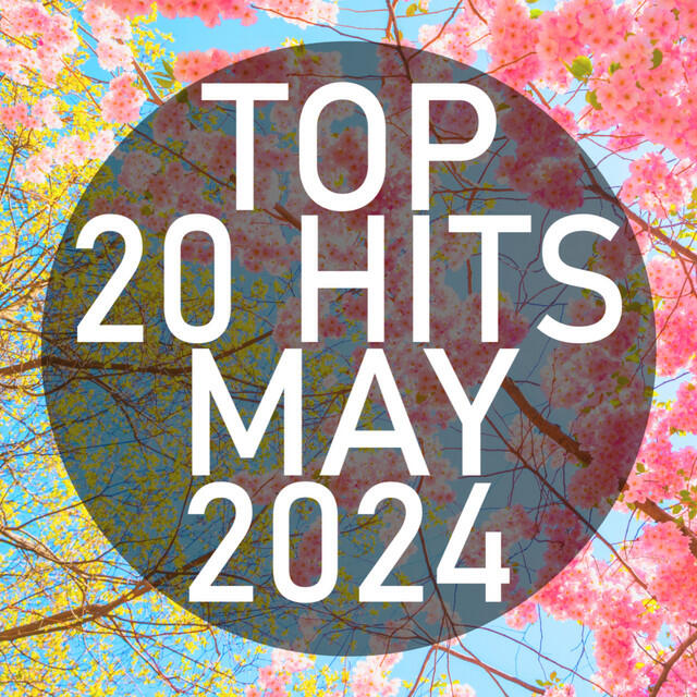 Релиз Top 20 Hits May 2024 (Instrumental)