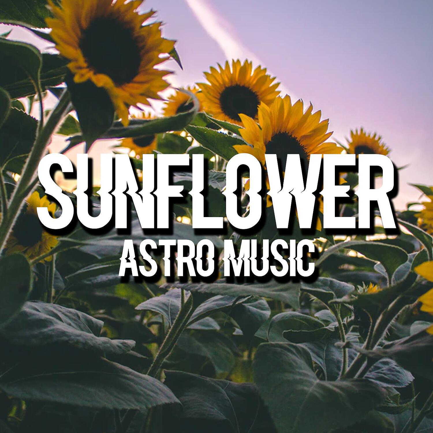 Релиз Sunflower