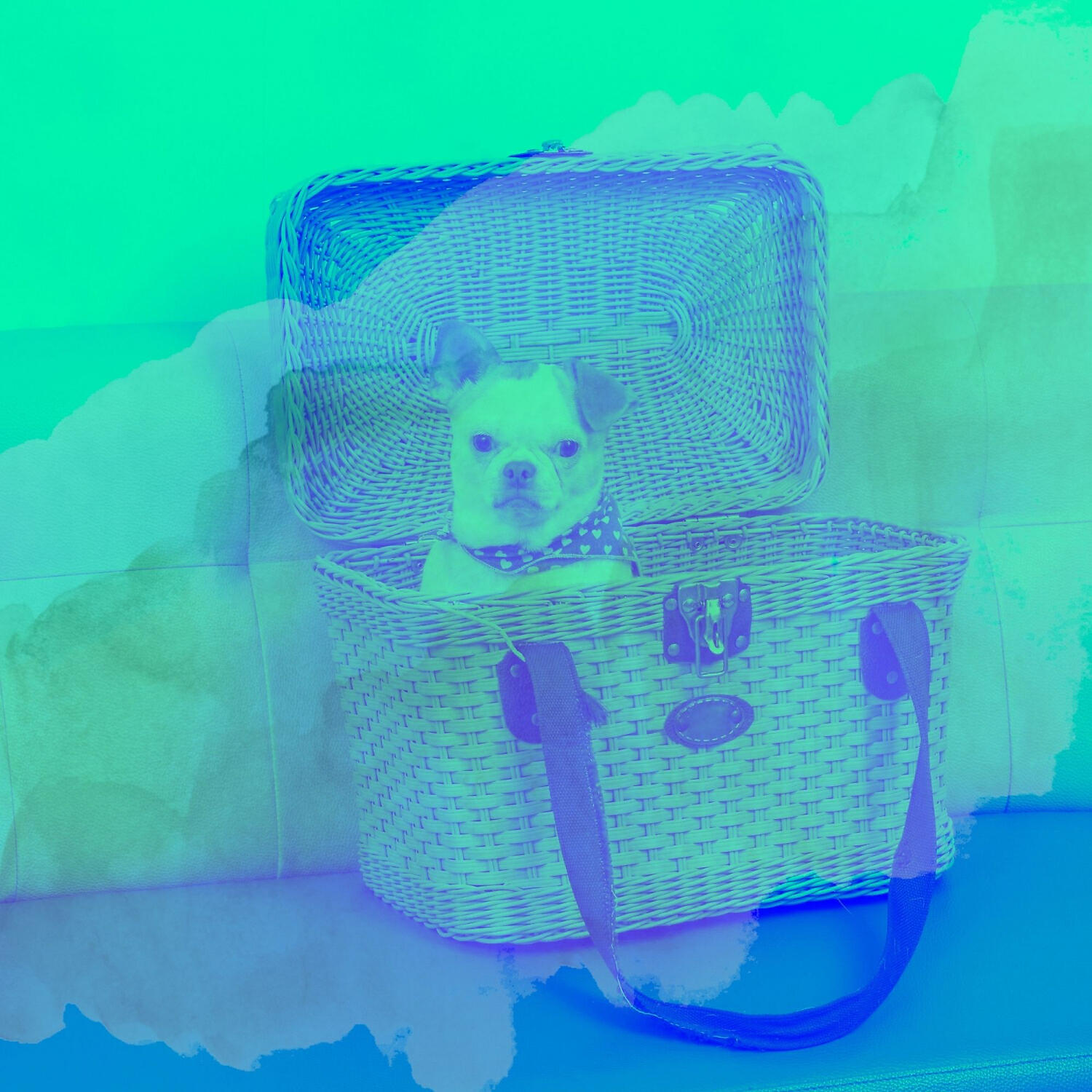 Релиз Lonely Music for Calming Your Dog - Acoustic Guitar