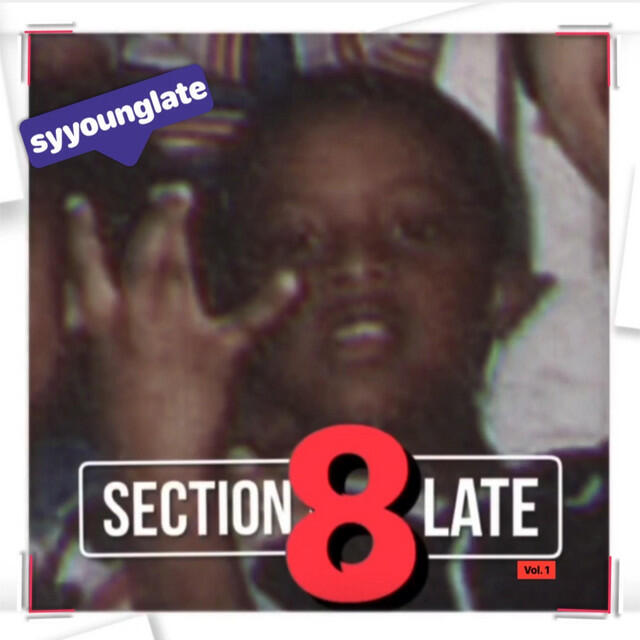 Релиз Section 8 Late