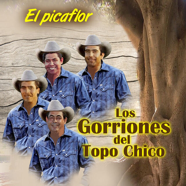 Релиз El Picaflor