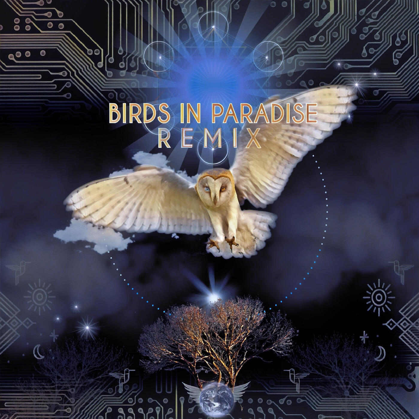 Bird Tribe