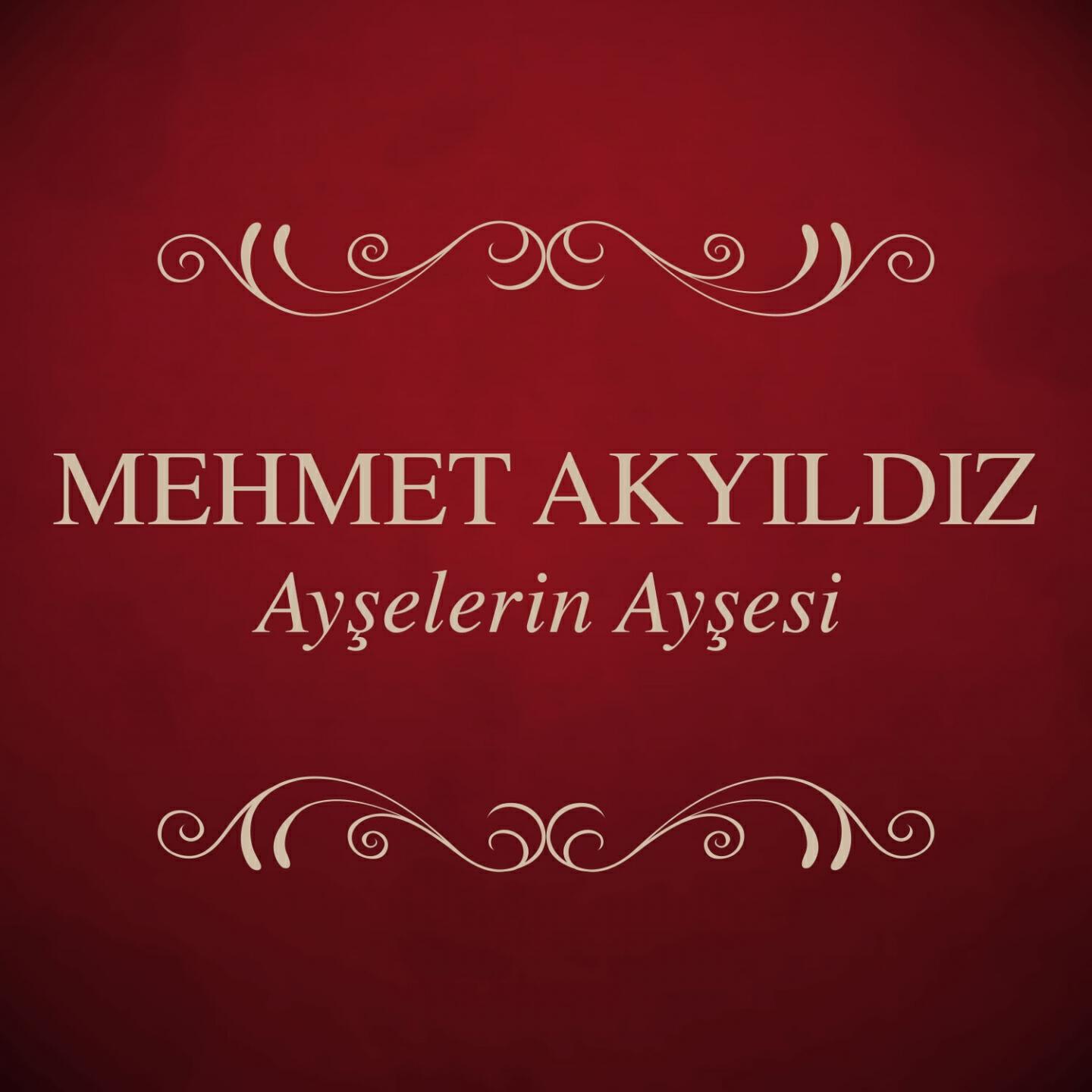 Постер альбома Ayşelerin Ayşesi
