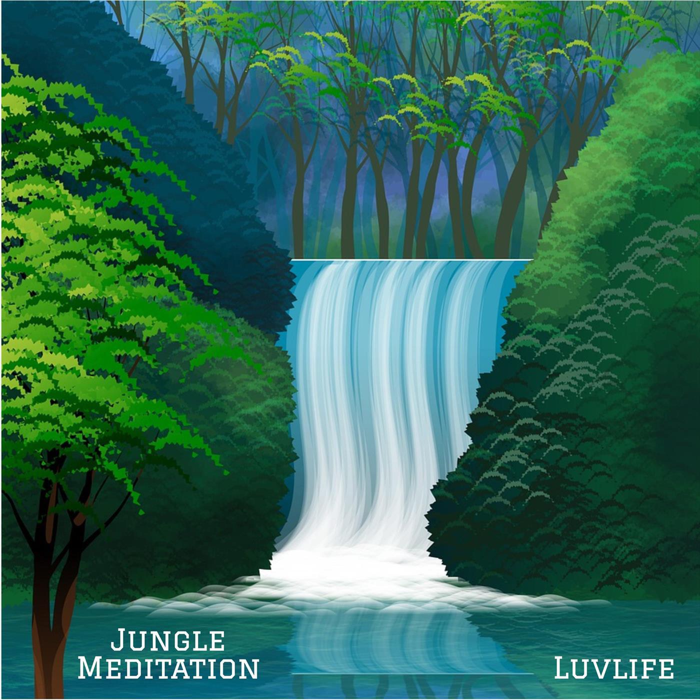 Релиз Jungle Meditation