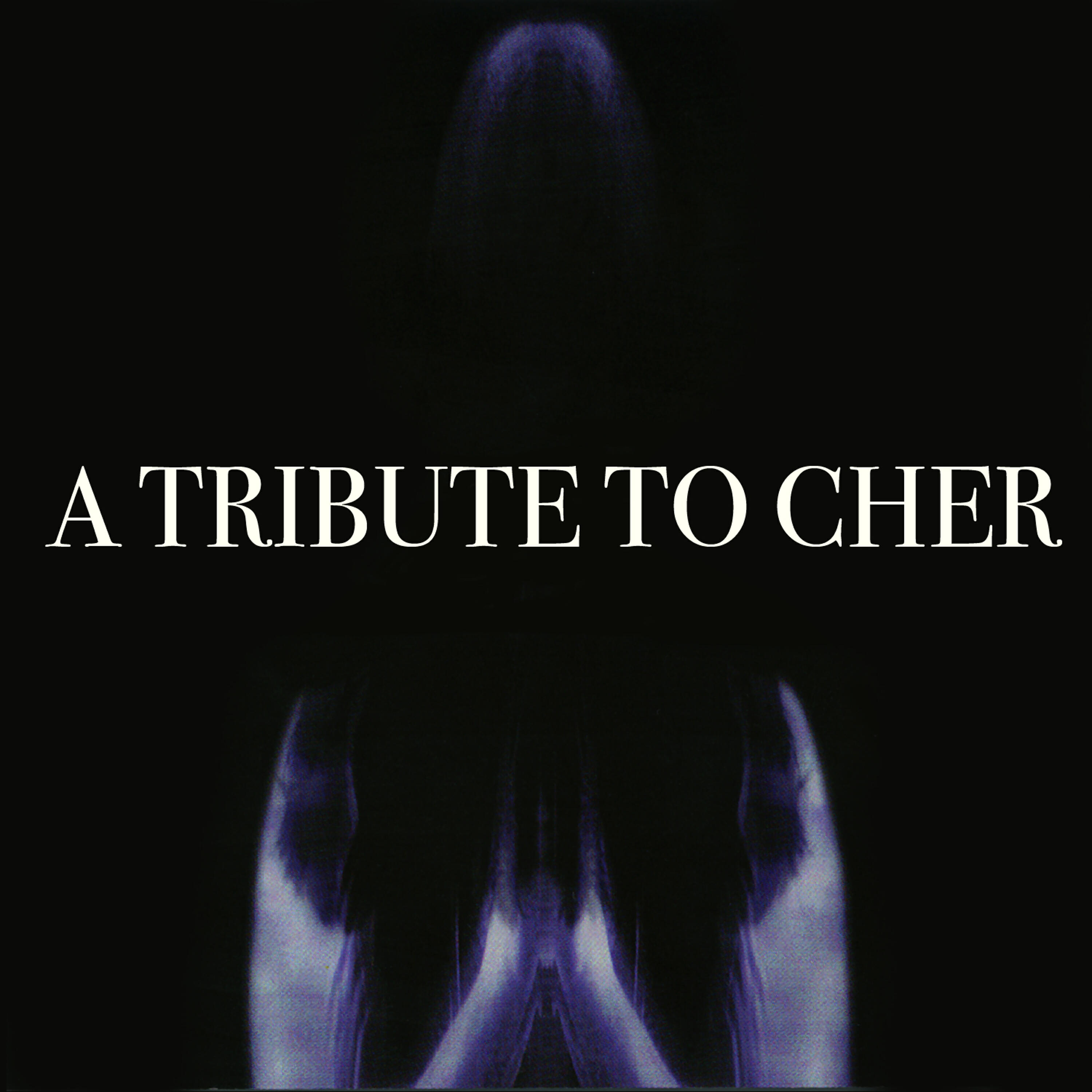 Релиз A Tribute to Cher