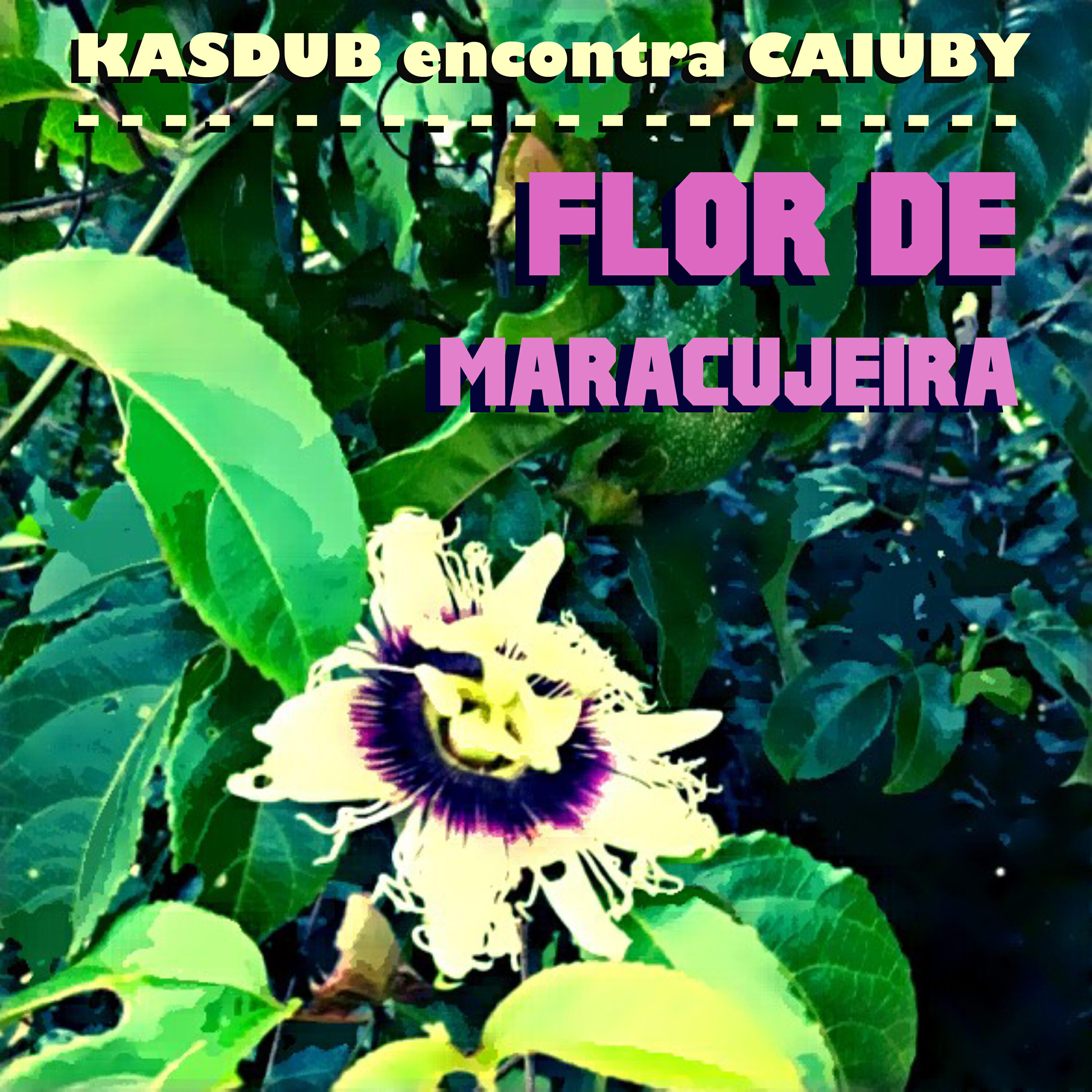 Релиз Flor de Maracujeira