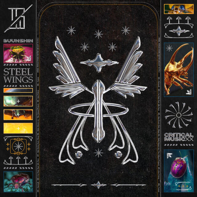 Релиз Steel Wings