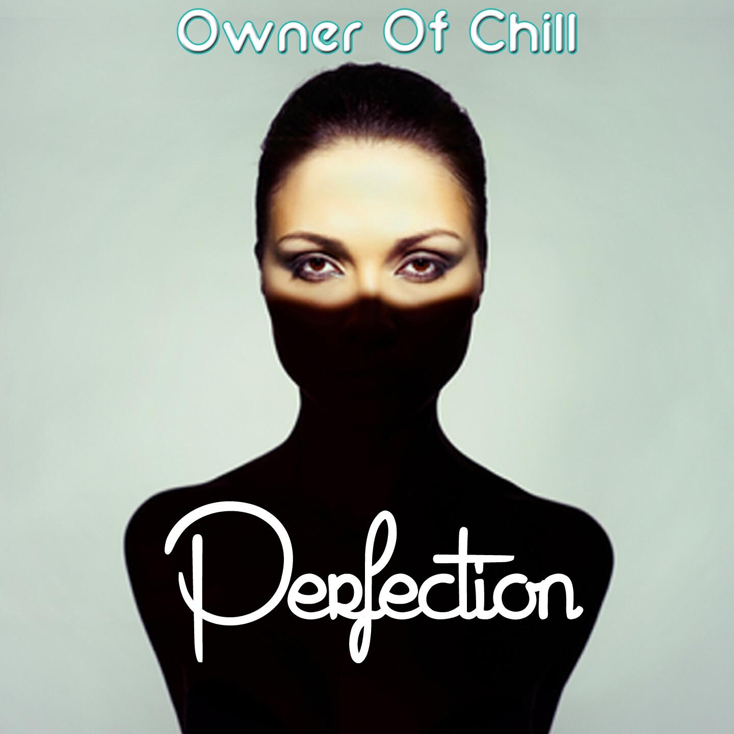 Релиз Perfection