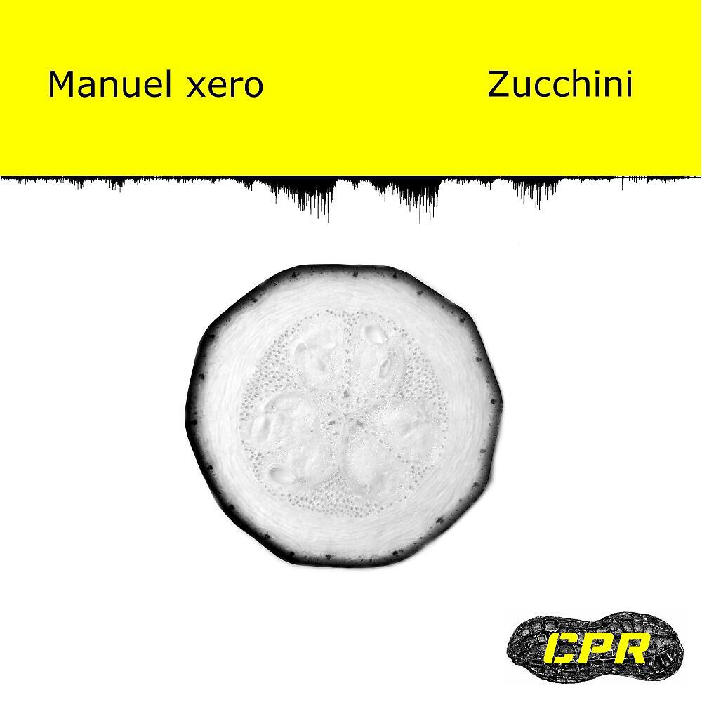 Релиз Zucchini (Original Mix)