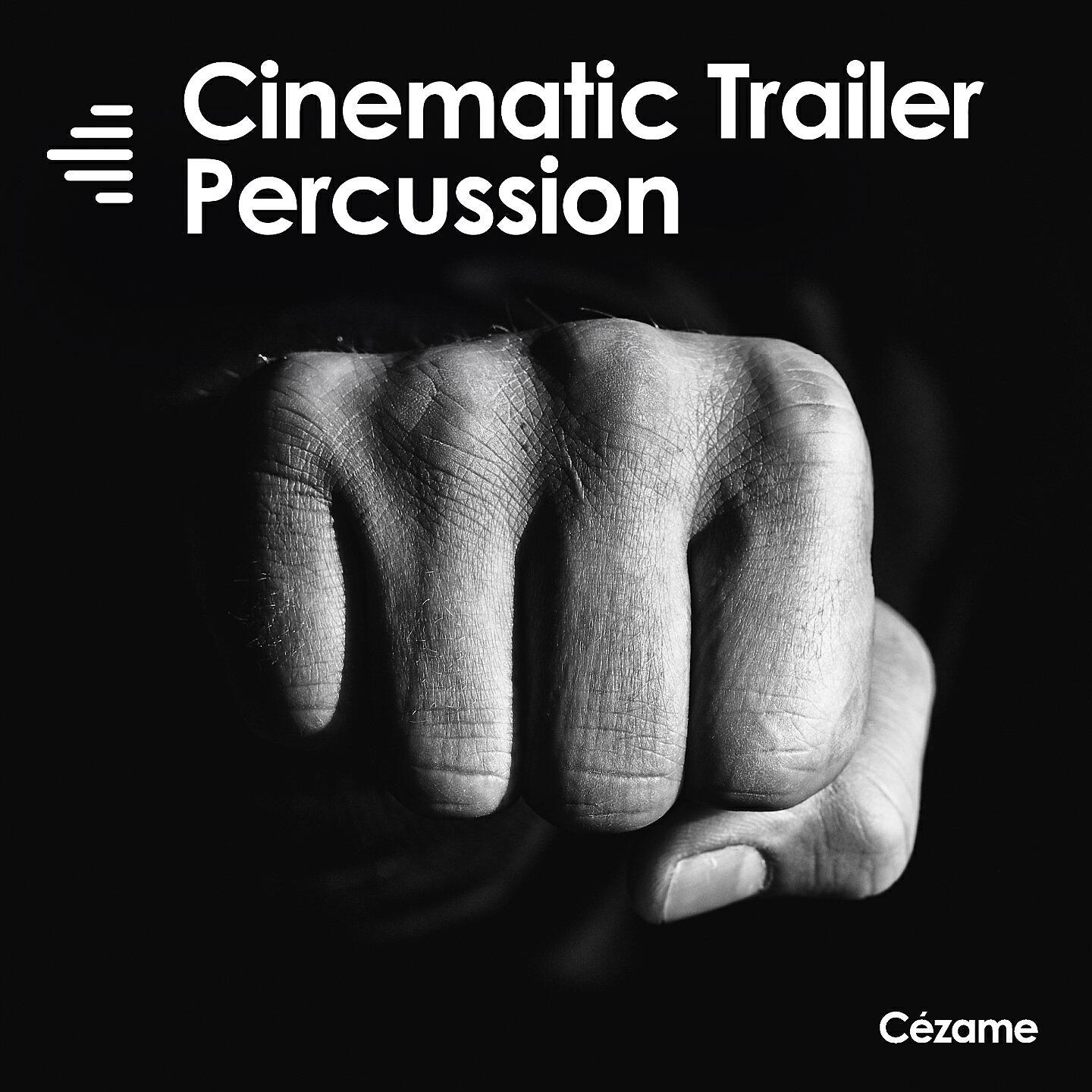 Релиз Cinematic Trailer Percussion