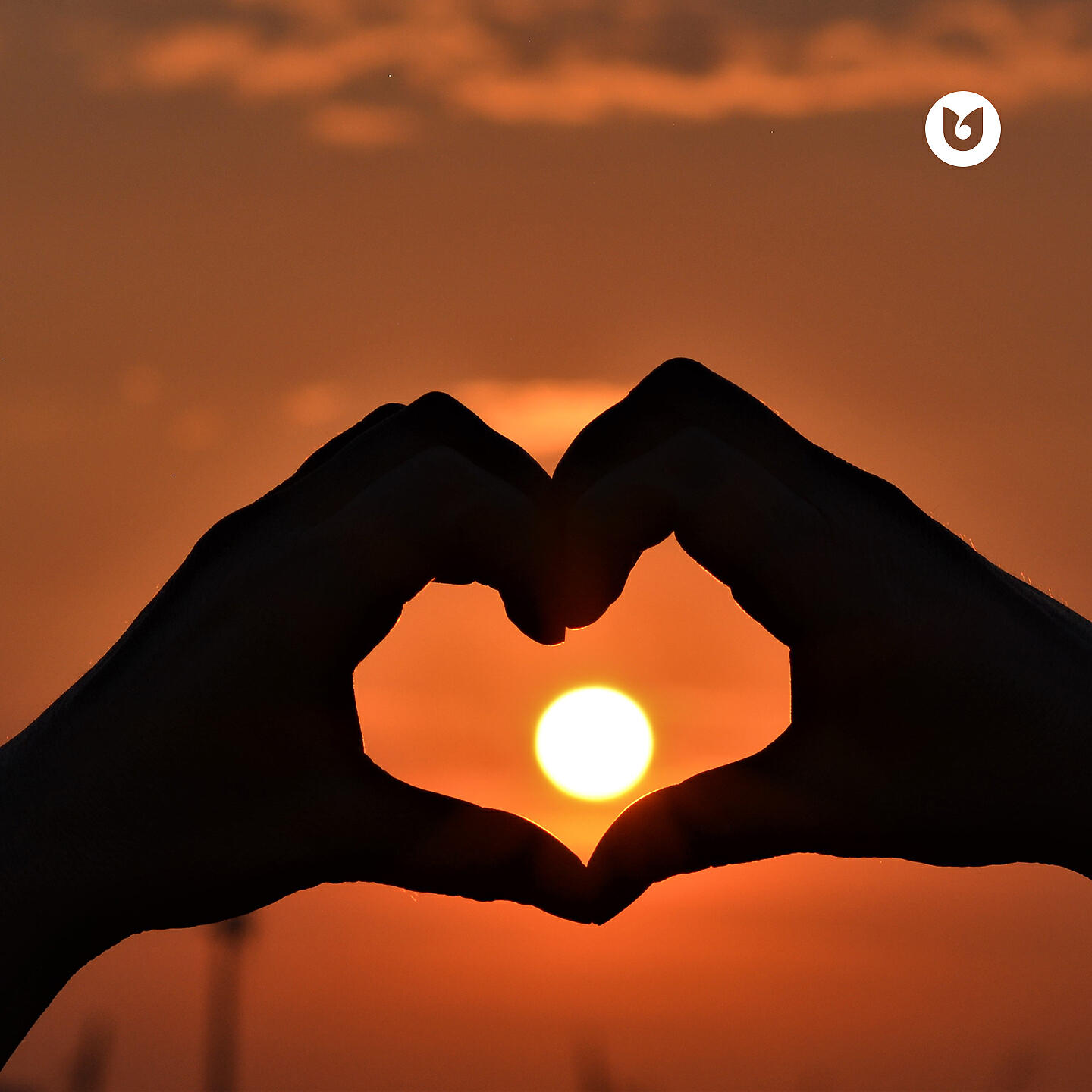 Волна по релизу