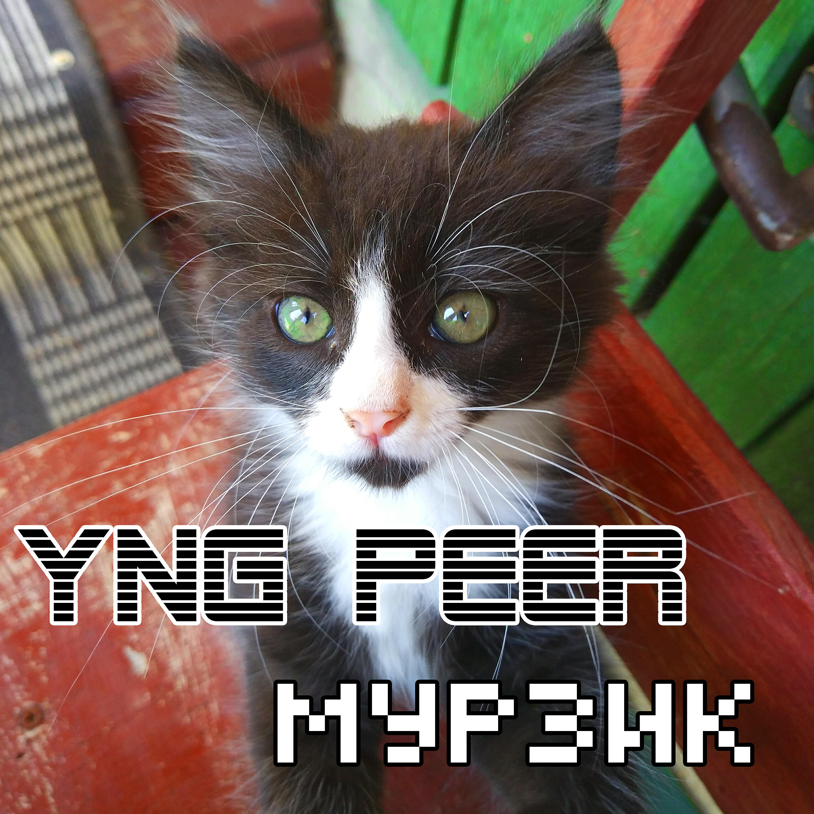 Релиз Мурзик