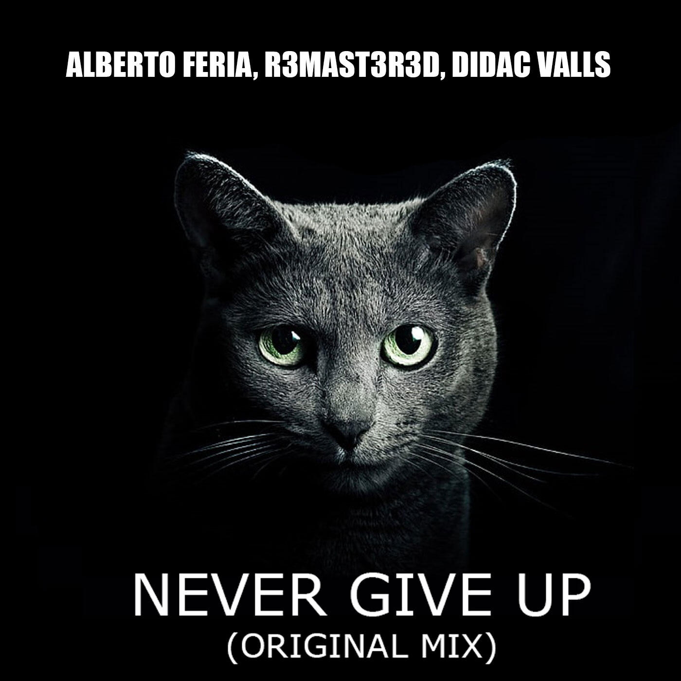 Релиз Never Give Up