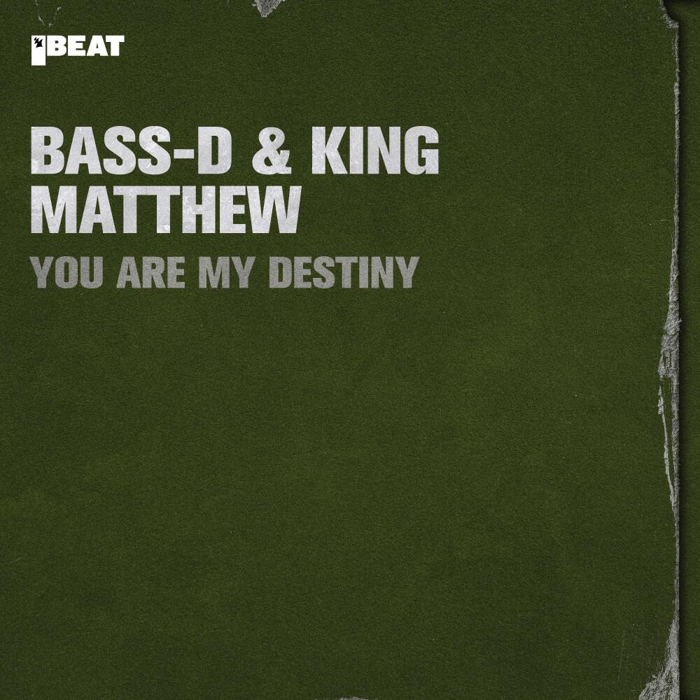 Релиз You Are My Destiny
