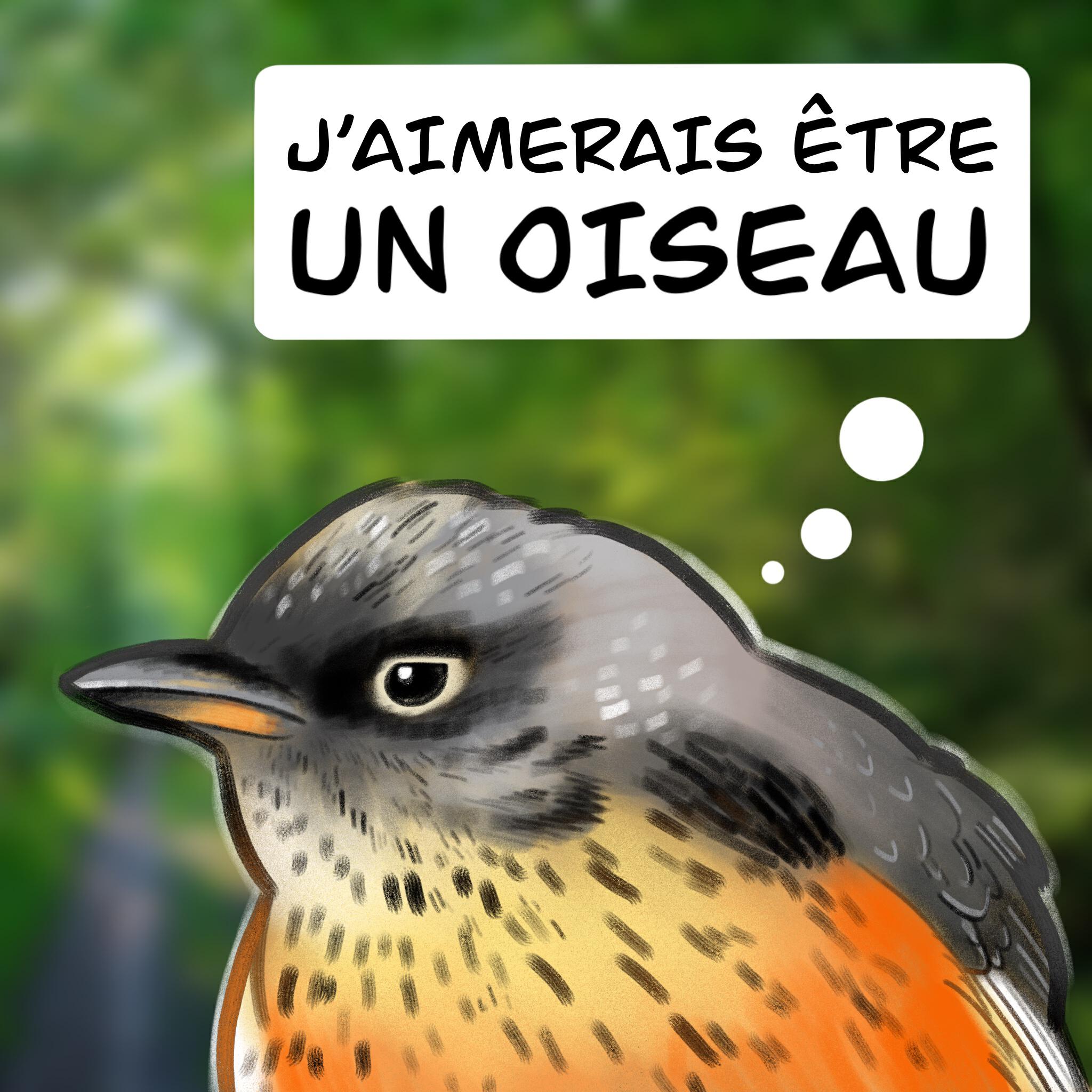 Релиз J'aimerais être un oiseau