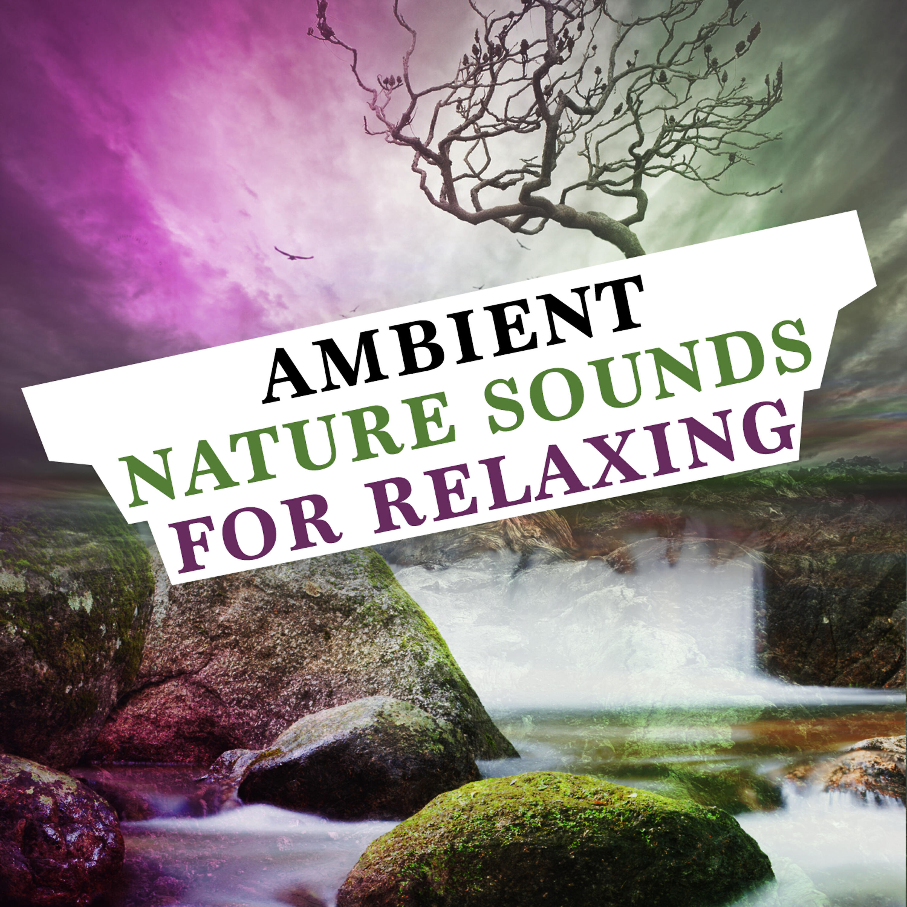 Релиз Ambient Nature Sounds for Relaxing