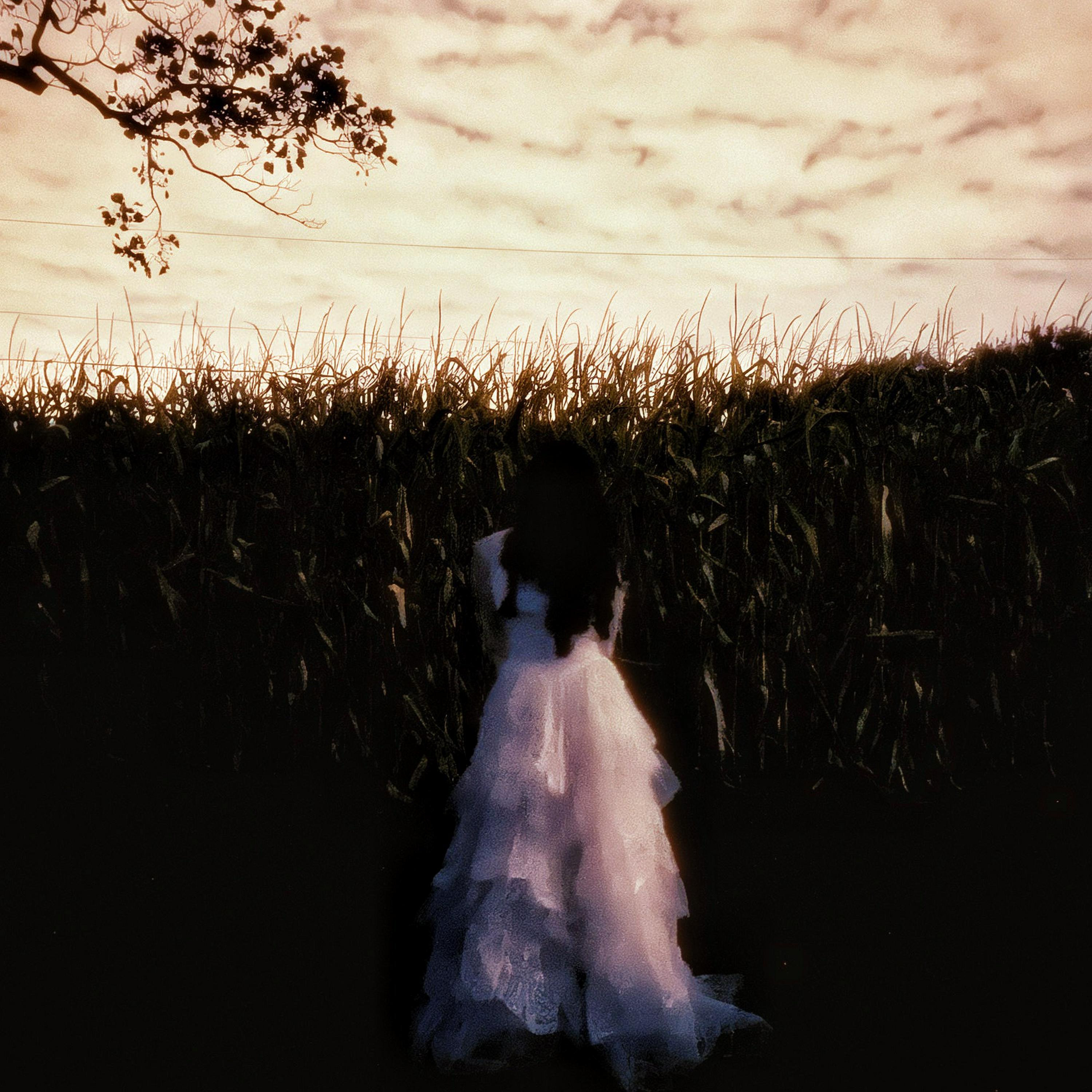 Релиз BLACK VEIL BRIDE
