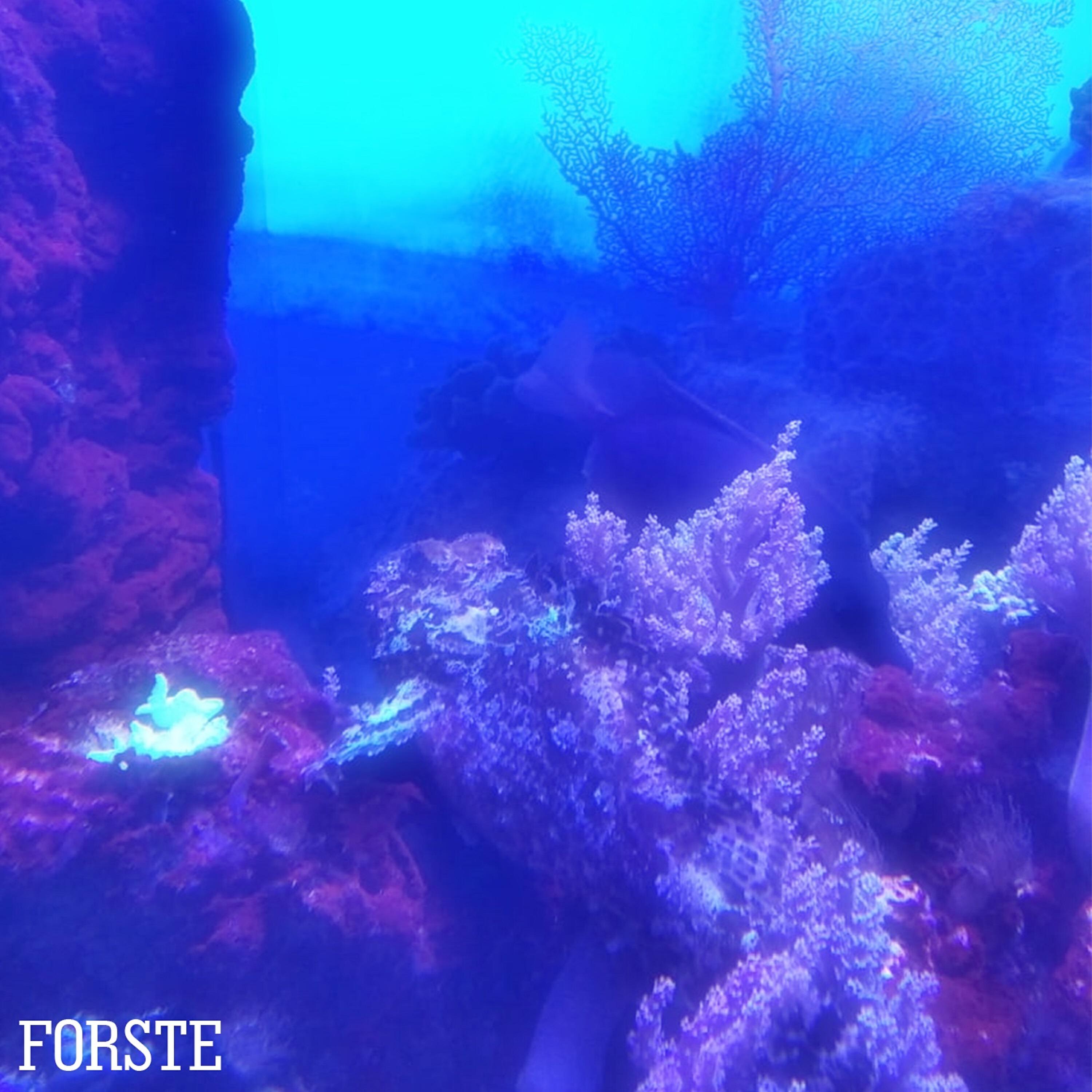 Релиз Første