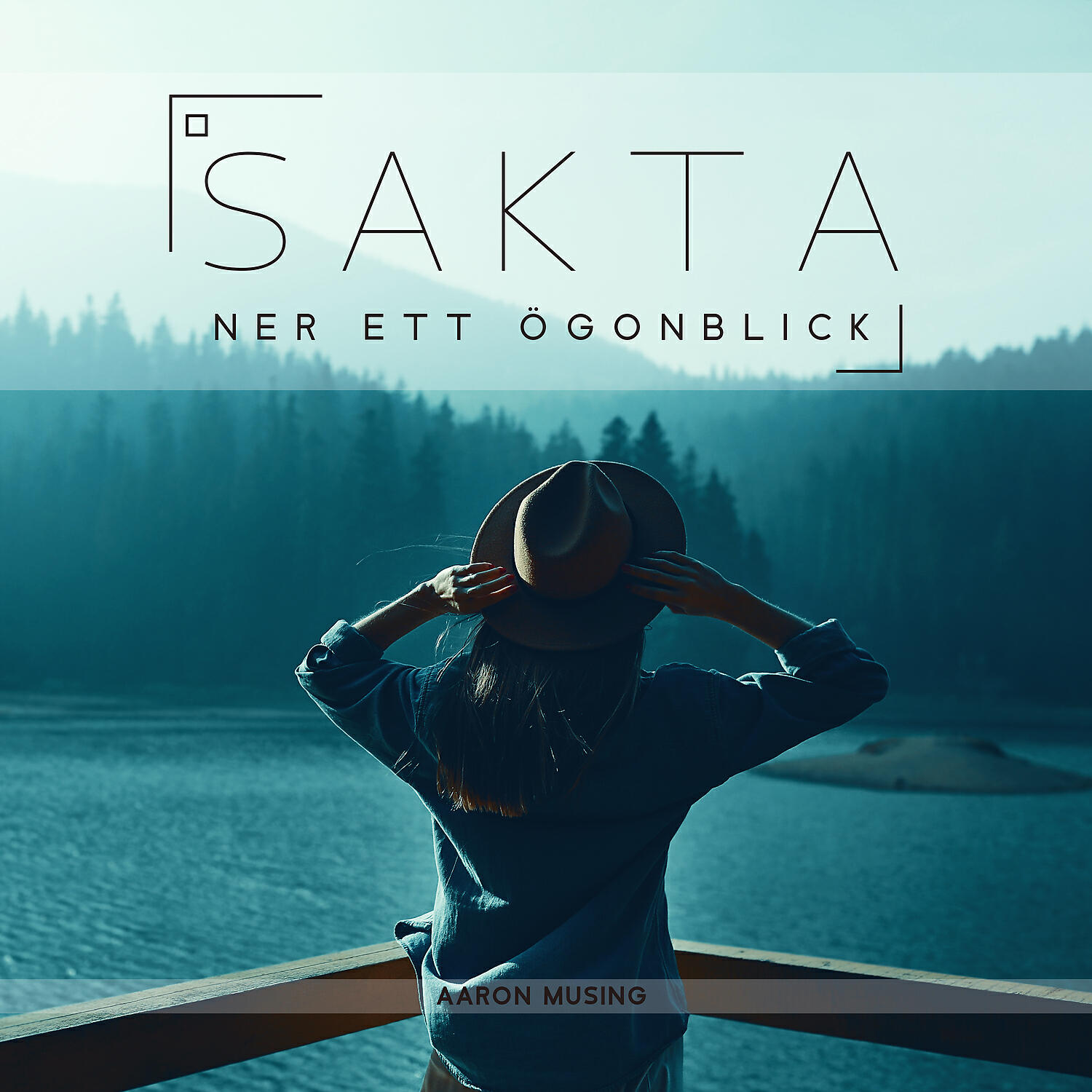 Релиз Sakta ner ett ögonblick