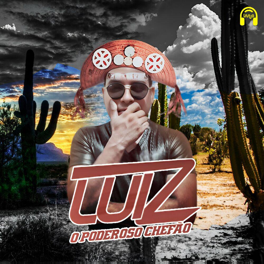 Релиз Forrozin do Gonzagão (Forrozin)