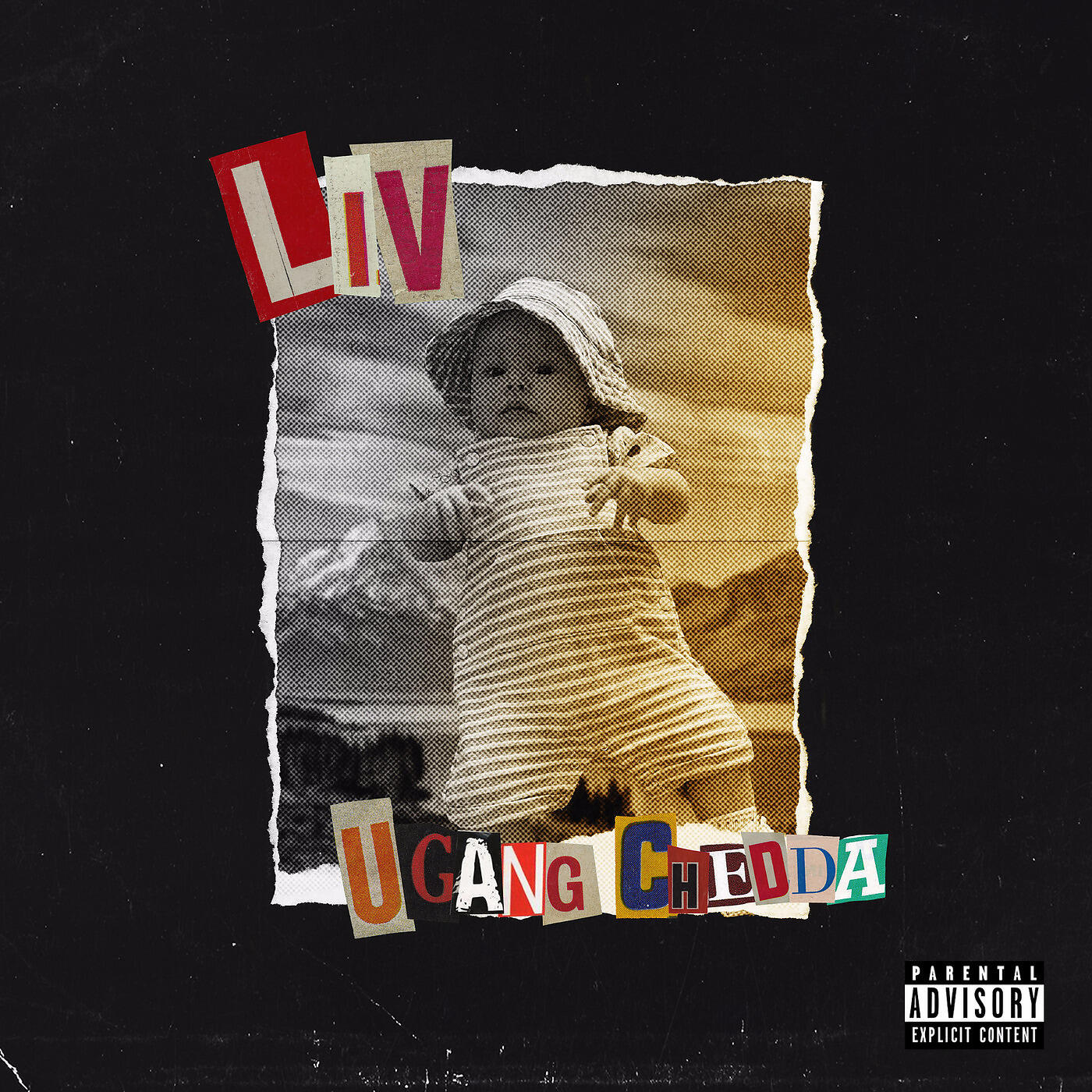Релиз Liv