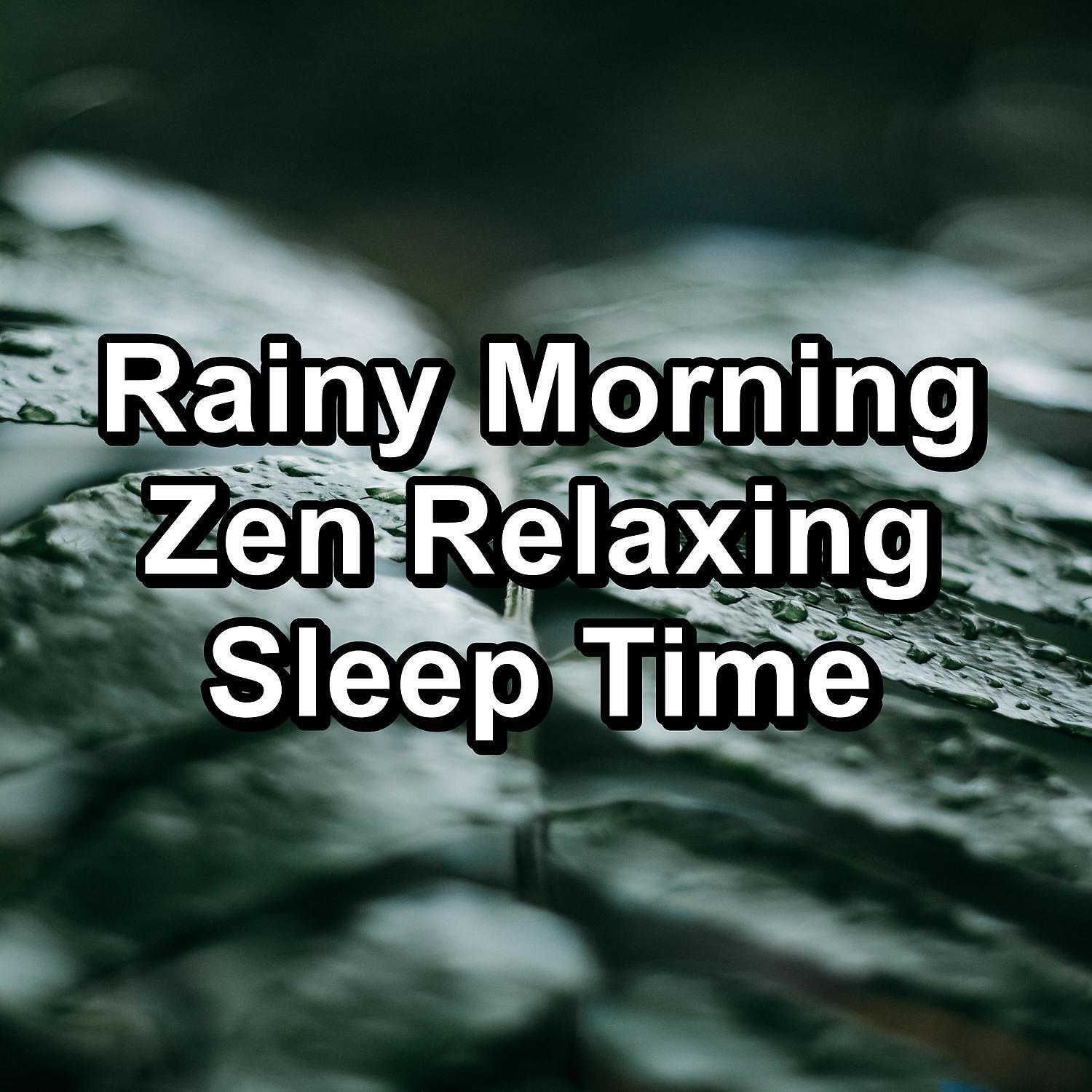 Релиз Rainy Morning Zen Relaxing Sleep Time
